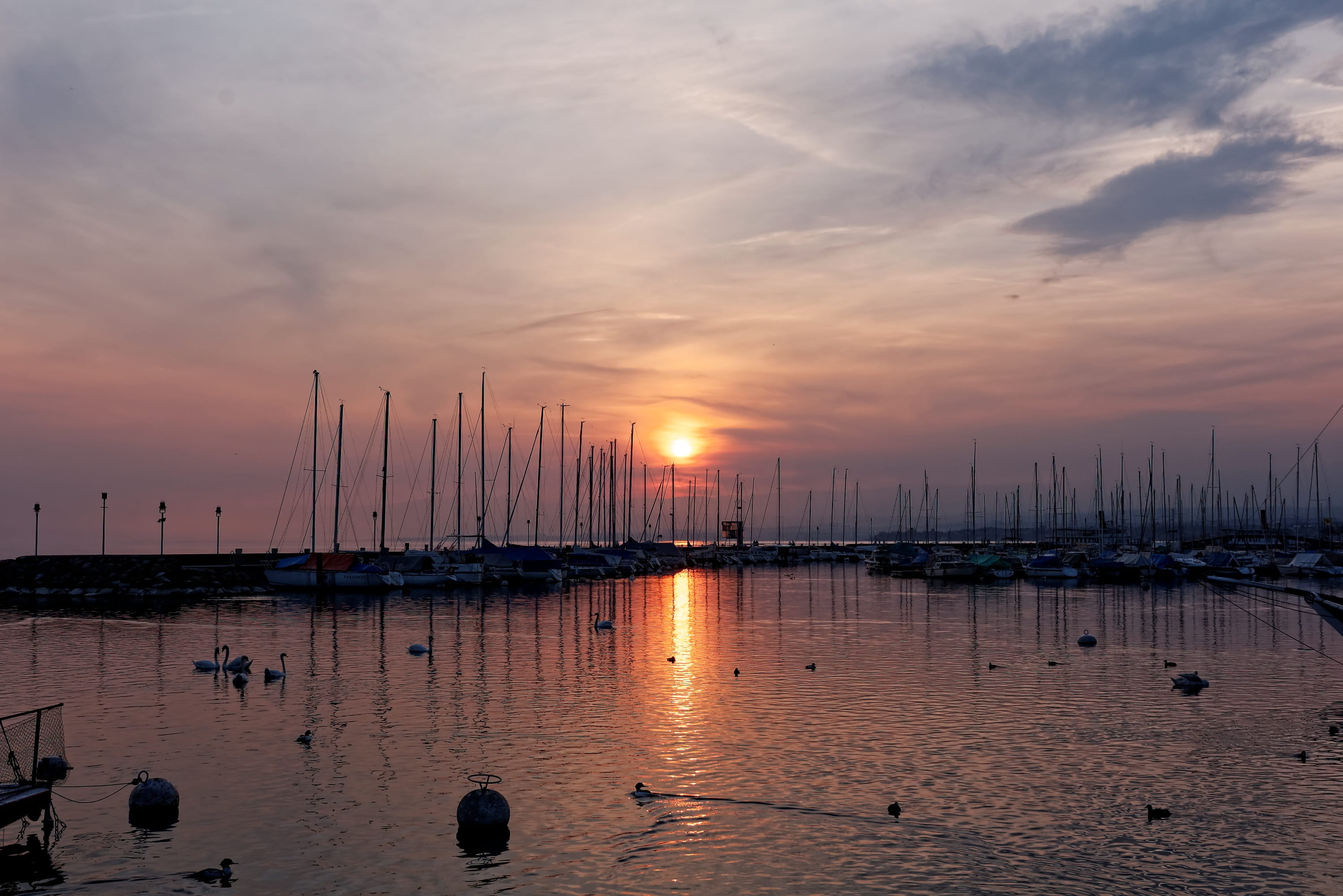 geneva, waterfront, yacht, lake, sunset, beauty in nature, no people, mode of transportation, bay, moored, transportation, nature, mood, water, sea, sailboat, HD Wallpaper