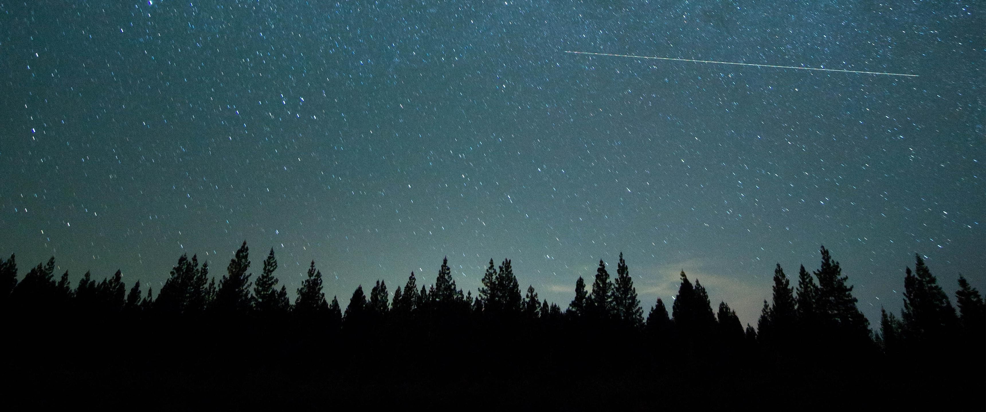 silhouette, plant, growth, space, tranquil scene, night, no people, beauty in nature, sky, long exposure, star - space, landscape, astronomy, star field, HD Wallpaper