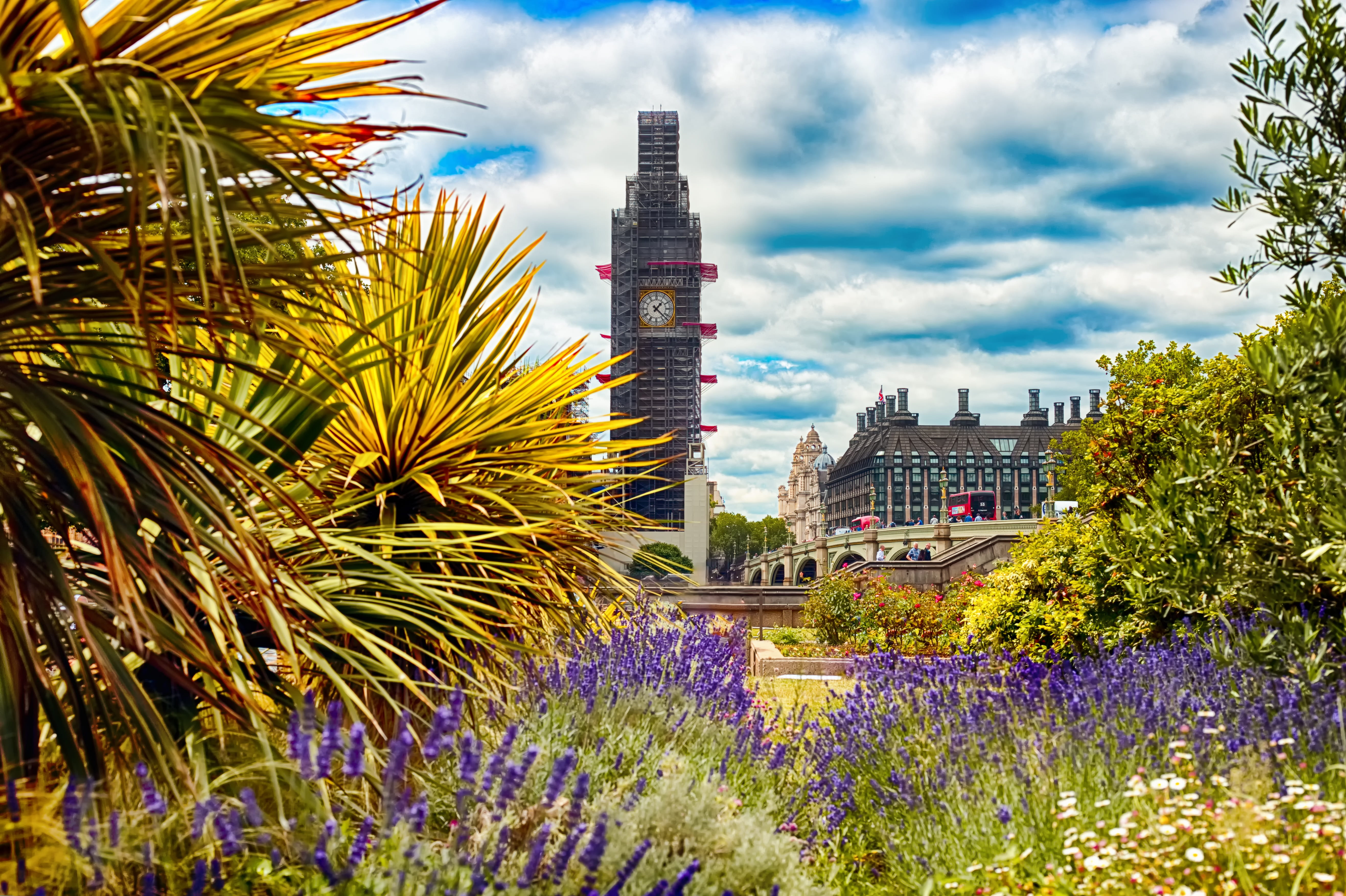 british, building, clock, day, travel destinations, westminster, capital, plant, watch, city, built structure, architecture, beauty in nature, building exterior, HD Wallpaper