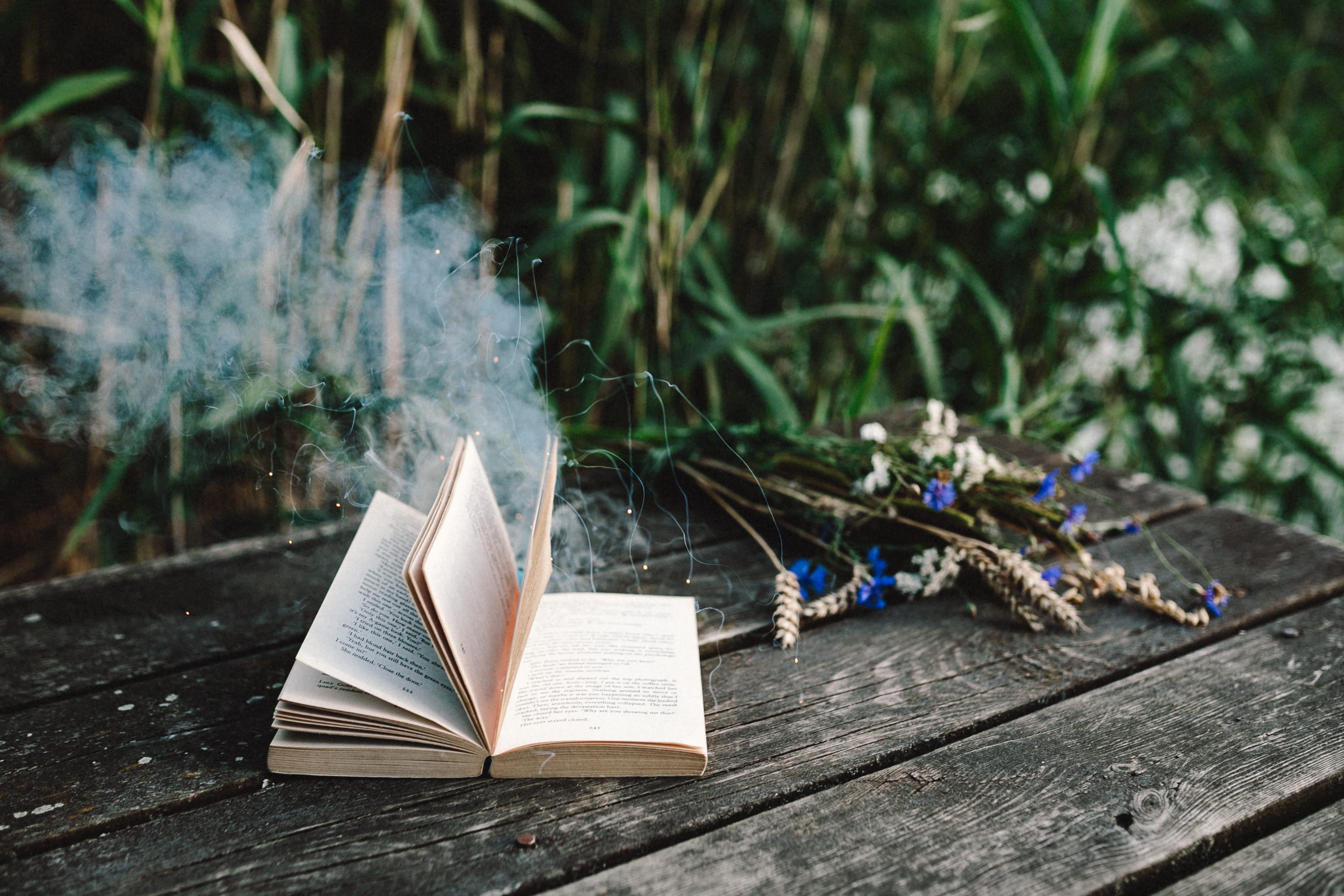 old-fashioned, close-up, plant, smoke, absence, Colorful, wooden desk, publication, outdoors, no people, table, smoke bomb, vintage, 2K, fun, nature, camera, HD Wallpaper