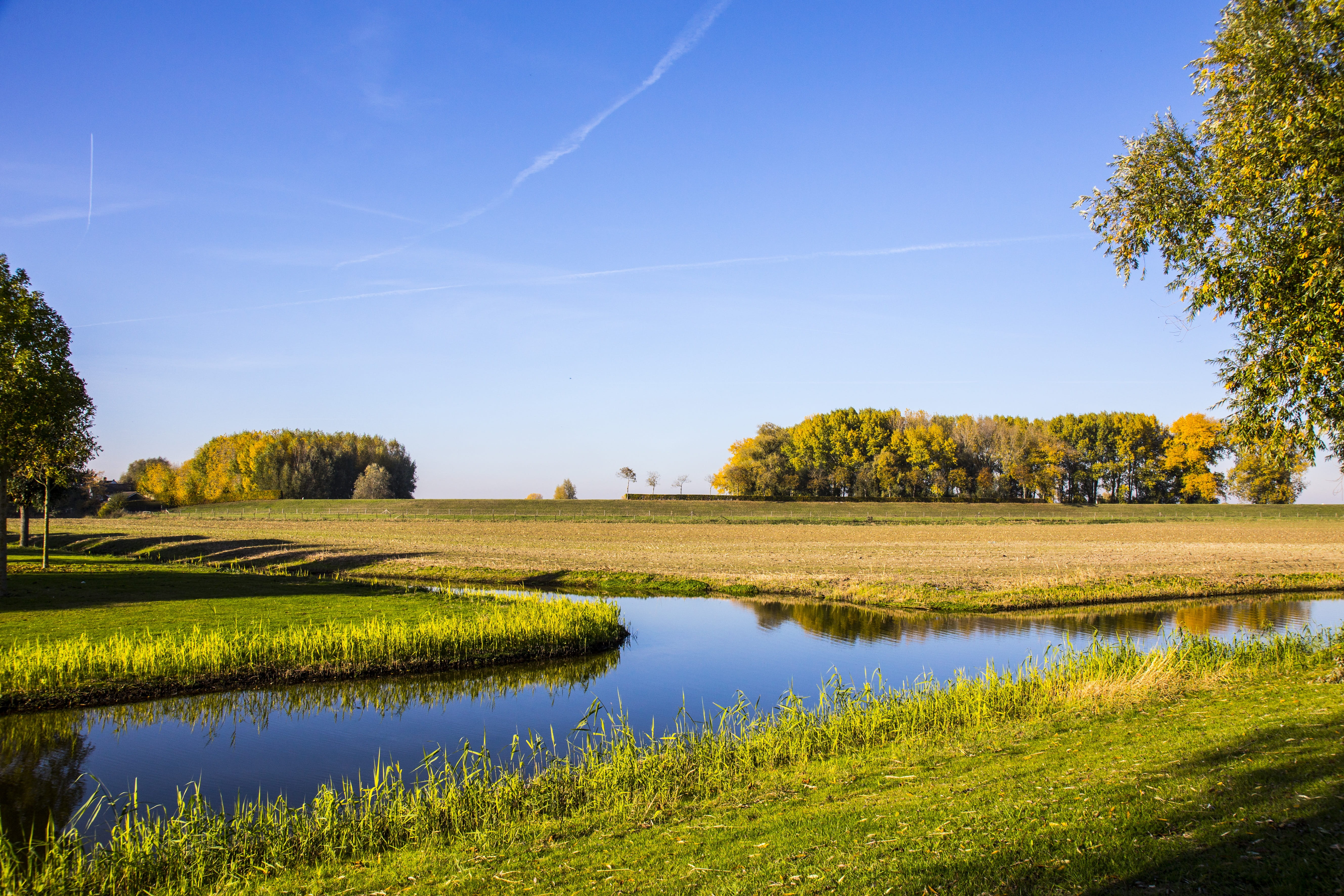 grass, holland, environment, nature, reflection, idyllic, brabant, plant, outdoors, growth, tranquility, land, no people, lake, area, scenics - nature, HD Wallpaper