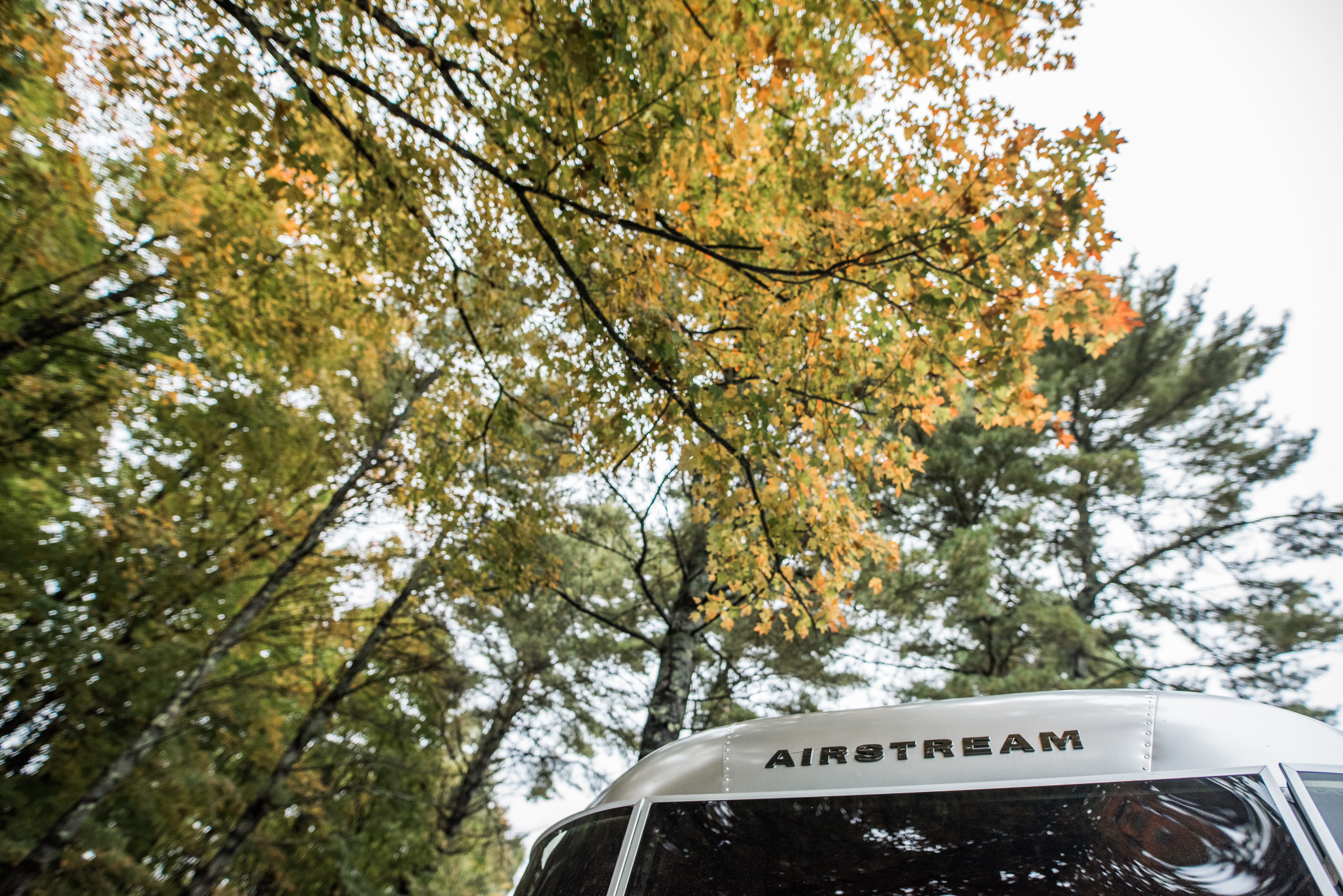 airstream camping, airstream, growth, tree, airstream travel trailer, trees, fall, no people, western script, autumn, aluminum, low angle view, car, change, HD Wallpaper