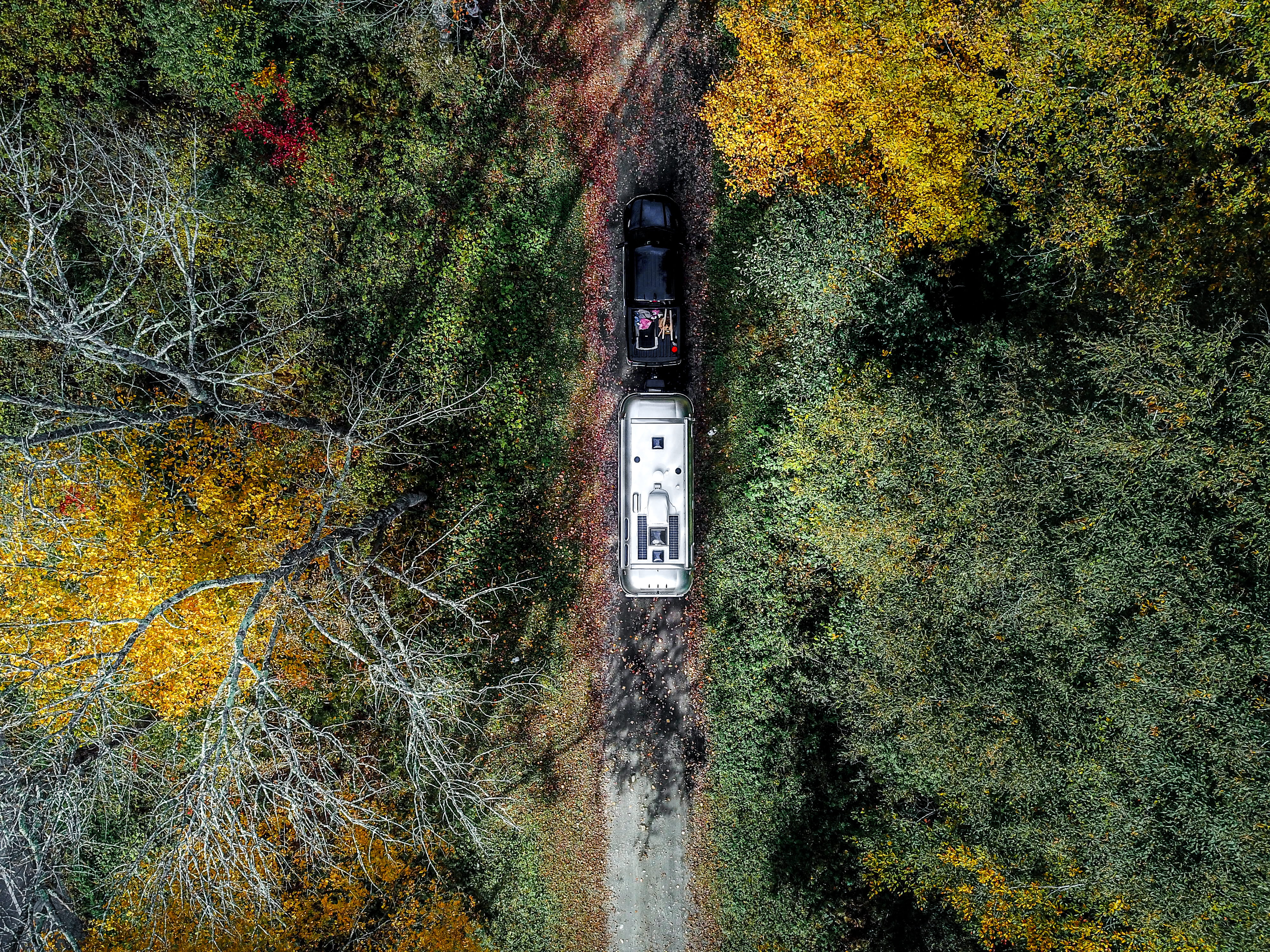 airstream, number, travel, autumn, tree, 6678 vt-100, outdoors, information, airstream travel trailer, adventure, granville, nature, no people, foliage, HD Wallpaper