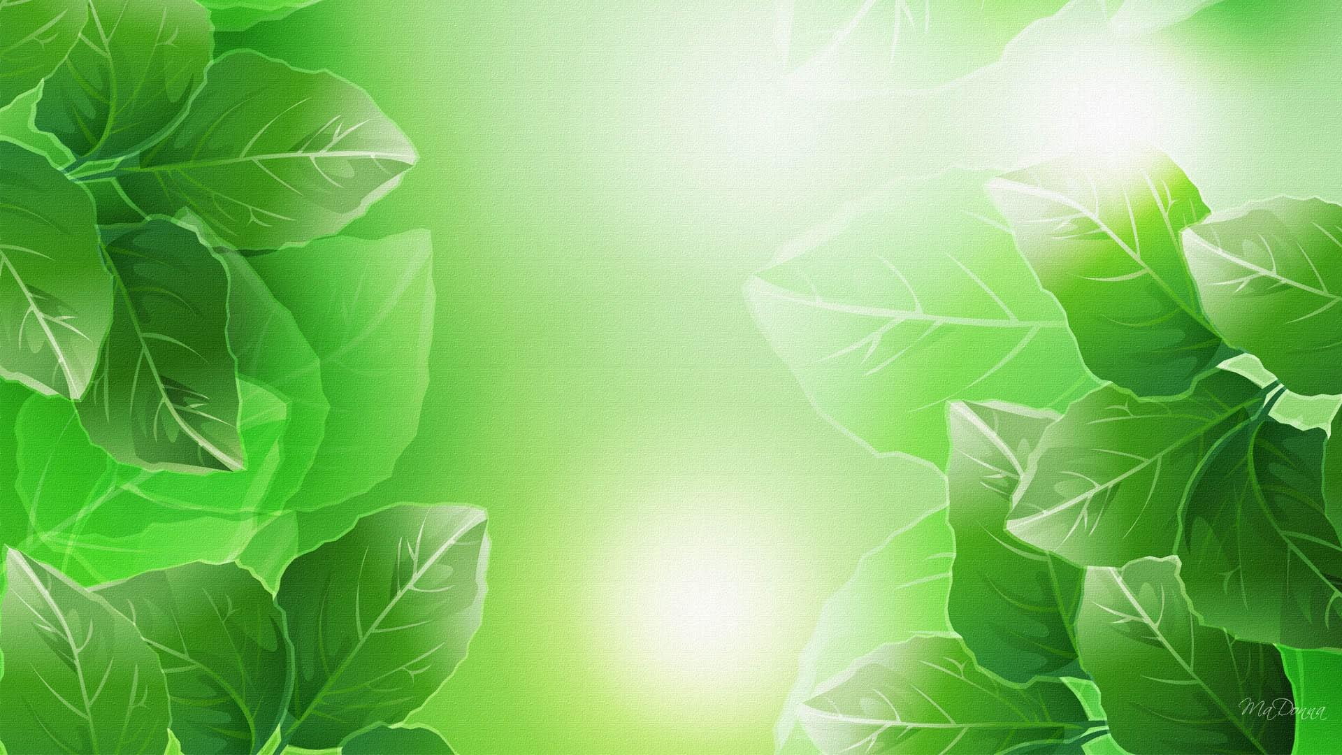 spring, light, 1080P, trees, leaves, summer, firefox persona, green, three, 3d and abstract, HD Wallpaper