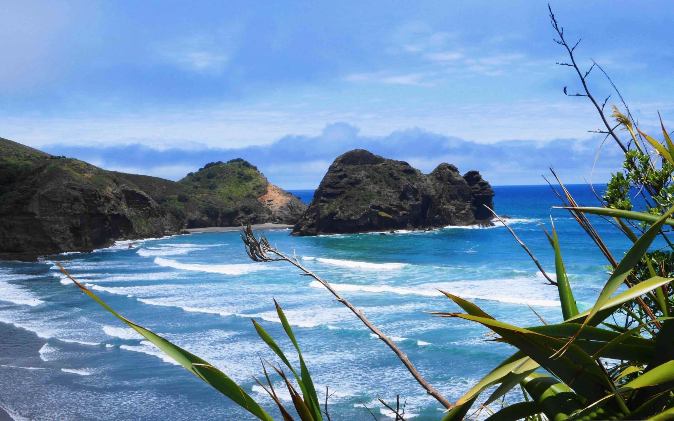 2K, outdoors, nature, piha, mountain, land, zealand, idyllic, bay, tree, plant, beauty in nature, landscape, scenics - nature, cloud - sky, HD Wallpaper