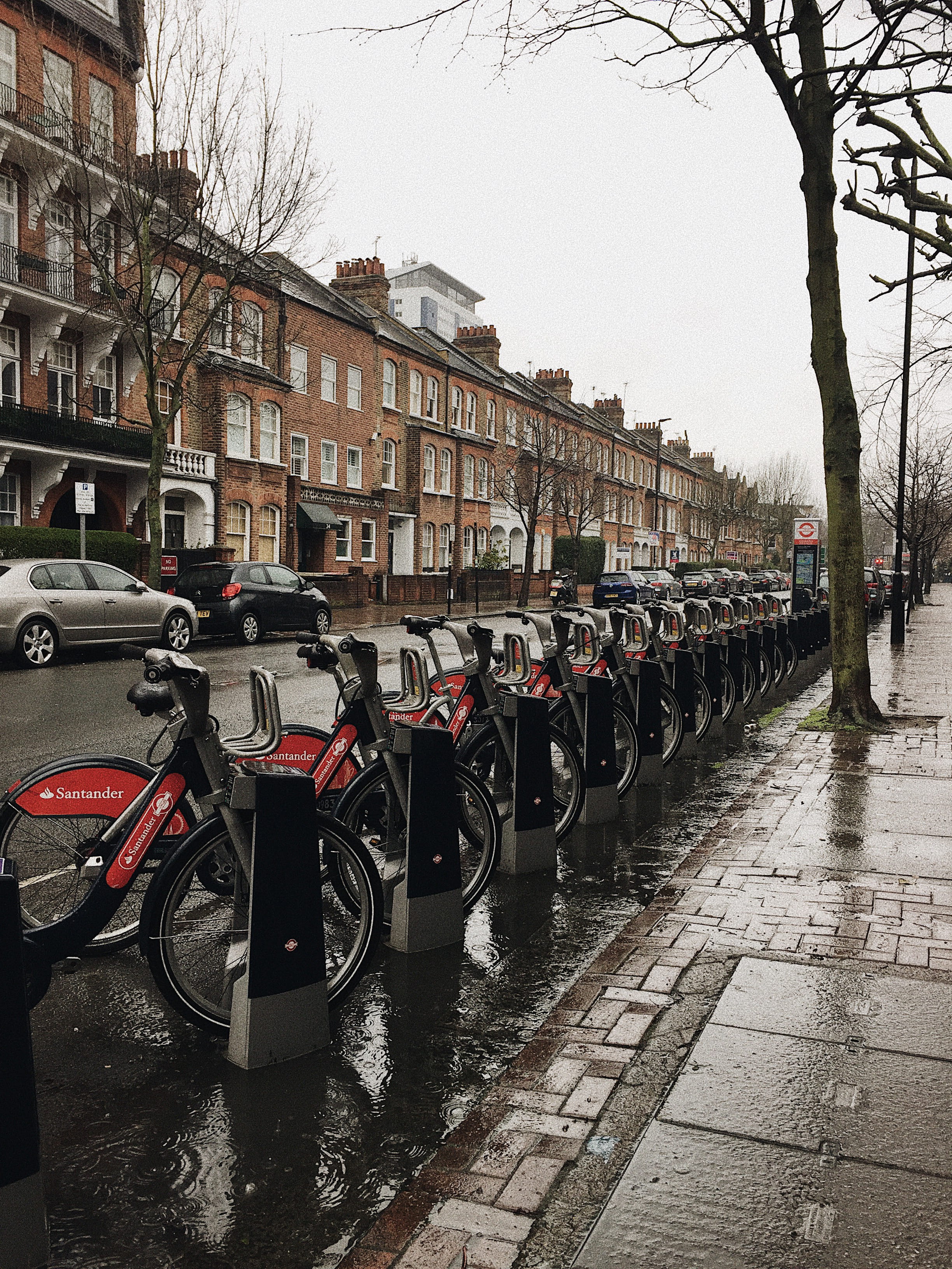 daylight, town, racks, rain, bicycles, transportation, bare tree, building, tree, city, raining, street, urban, downtown, beside, season, motor vehicle, Phone HD Wallpaper