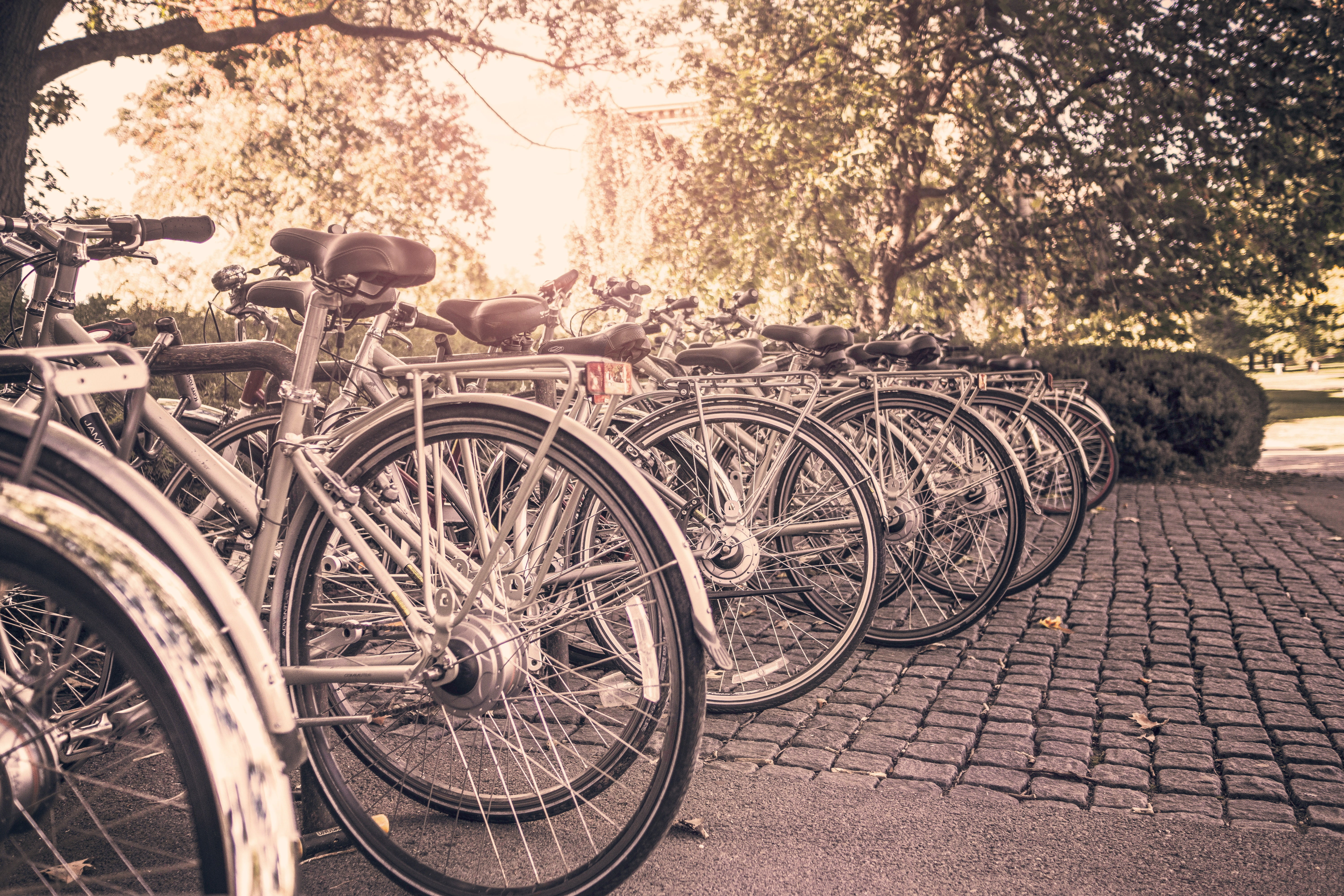 footpath, retro Styled, transportation, wheel, sports, inline, mode of transportation, bike, racks, plant, 5K, bicycle, day, cobblestone, land vehicle, HD Wallpaper