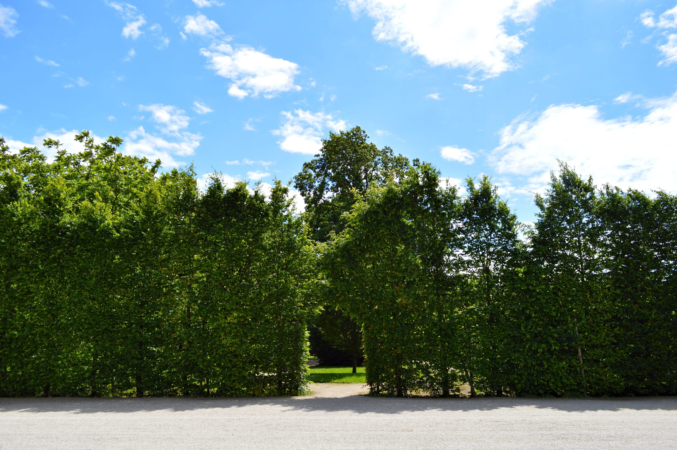 tranquility, beauty in nature, sunlight, hedge, clouds, trees, cloud - sky, tranquil scene, nature, day, fence, schonbrunn, tree, 1080P, green, scenics - nature, HD Wallpaper