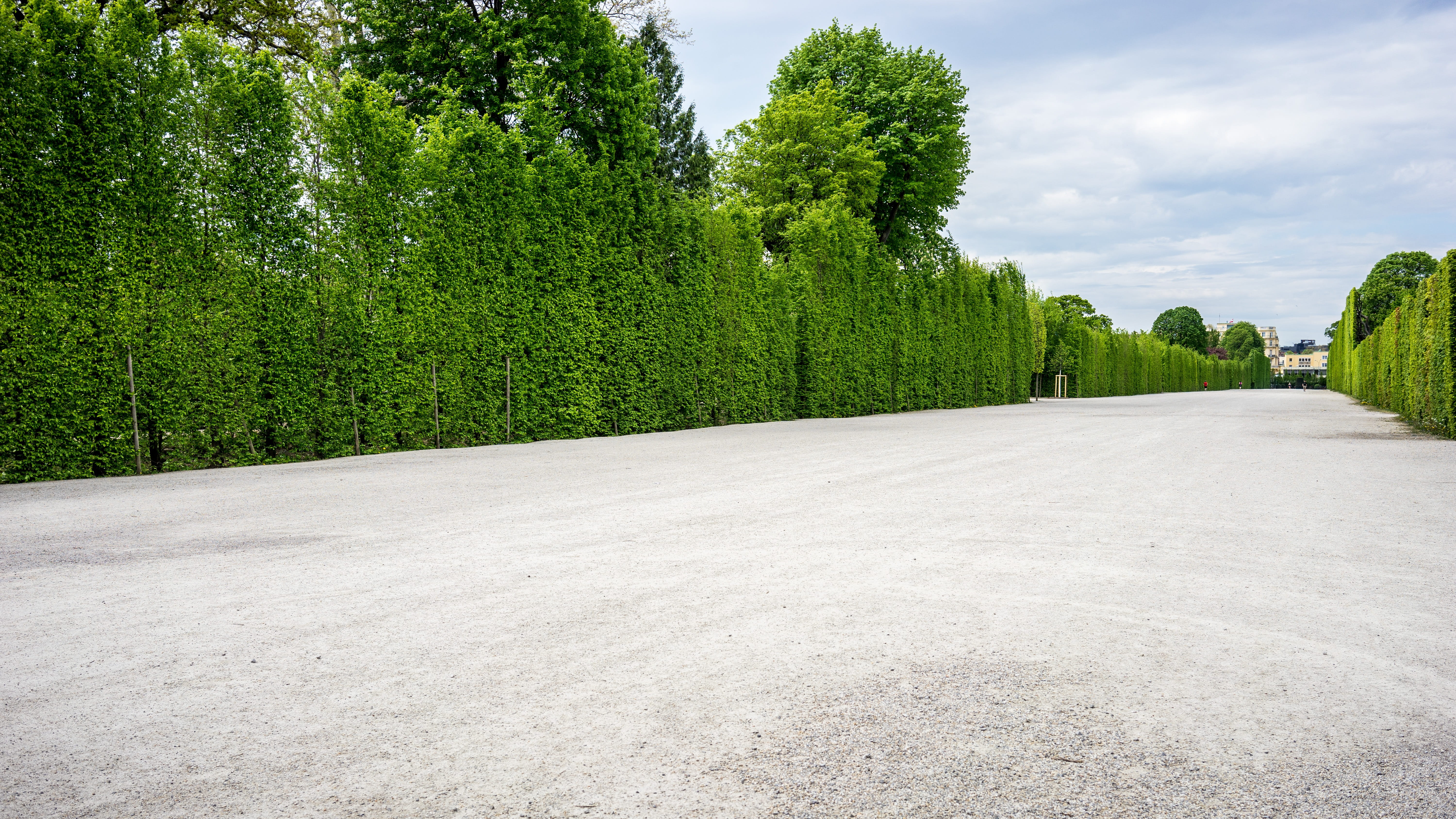 park, road, city, culture, schonbrunn, growth, landscape, history, concrete, Vienna, architecture, scenics - nature, diminishing perspective, habsburg, HD Wallpaper