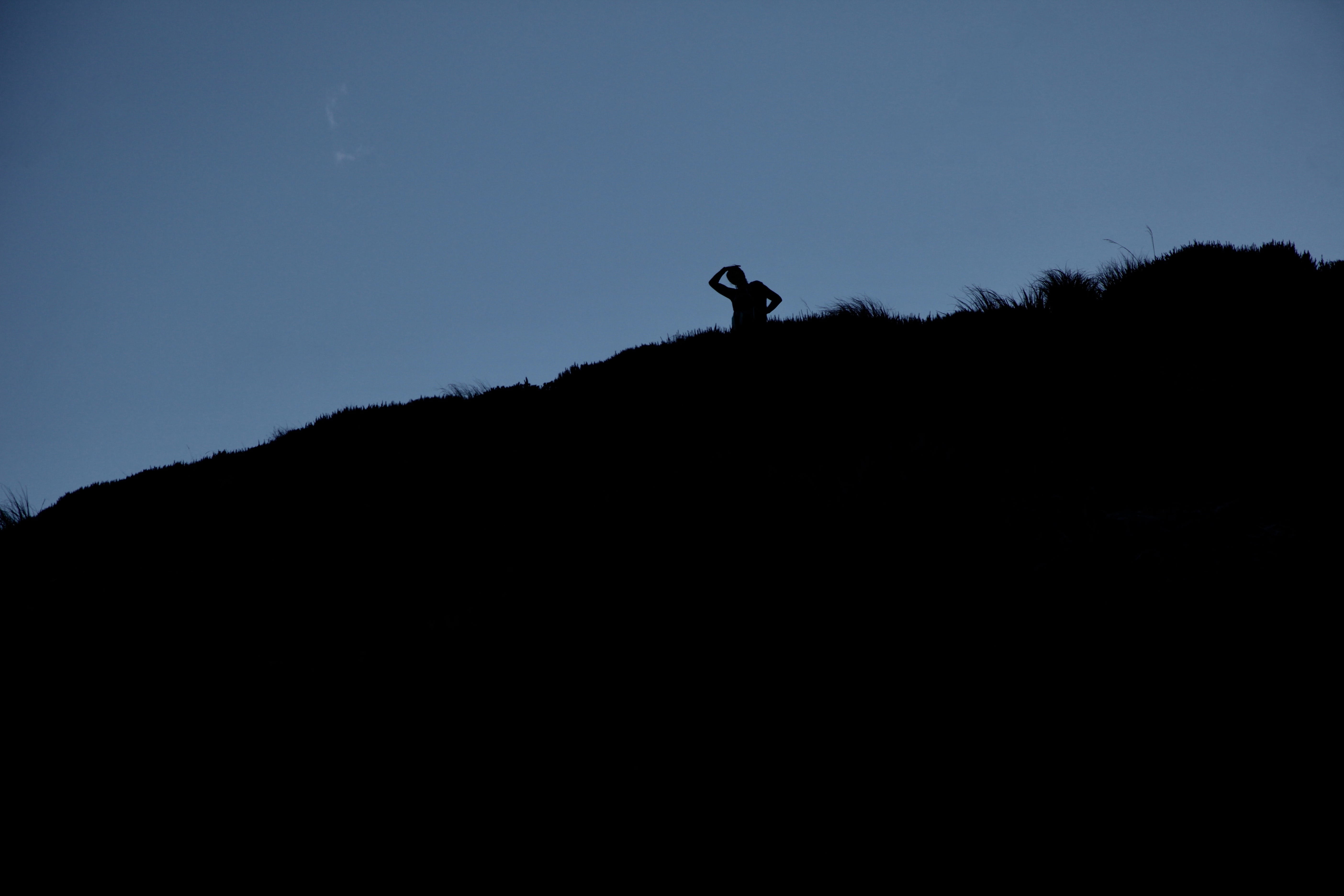 walking, one person, sky, mountain, sealy tarns track, animal, standing, nature, vertebrate, clear sky, outdoors, hiking, new zealand, silhouette, animal themes, HD Wallpaper