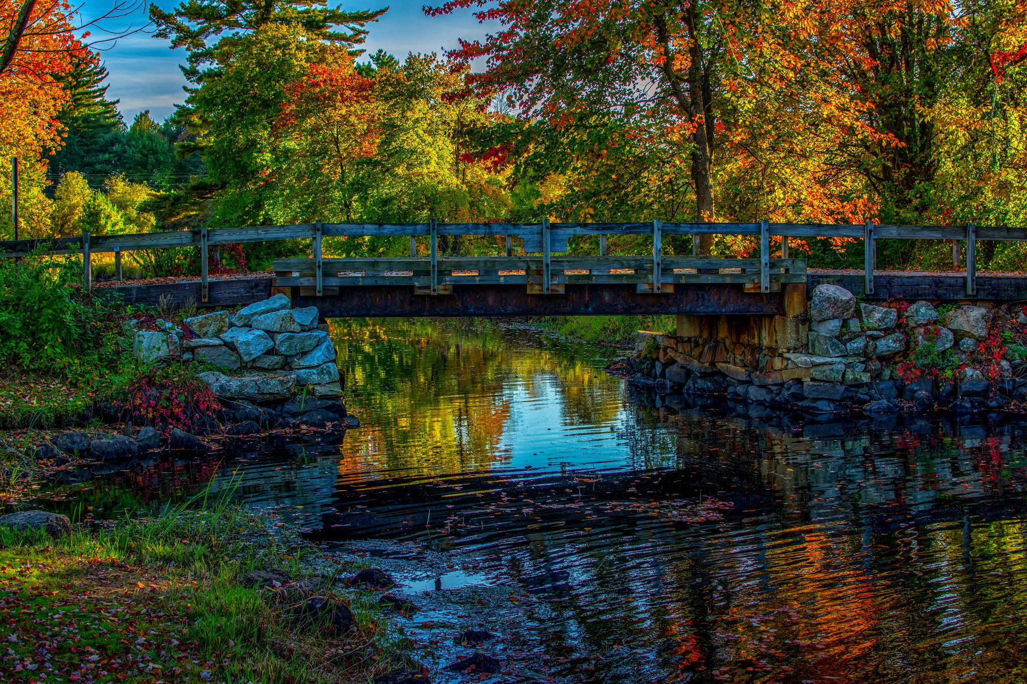 autumn, river, bridge, trees, 1080P, sky, forest, the sky, HD Wallpaper