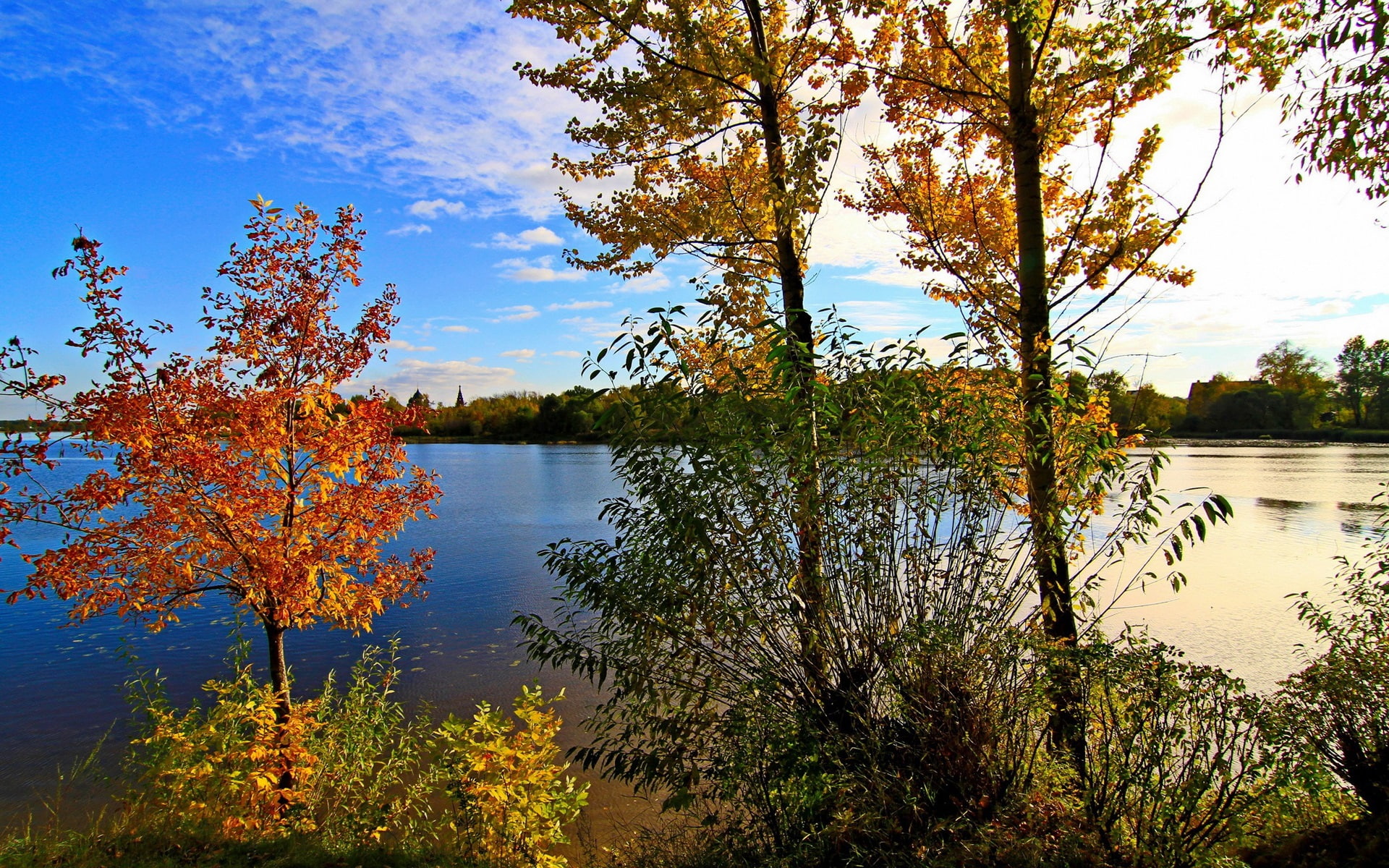 Sky, Trees, 1080P, Yaroslavl, Clouds, River, Autumn, tree, Russia, green, HD Wallpaper