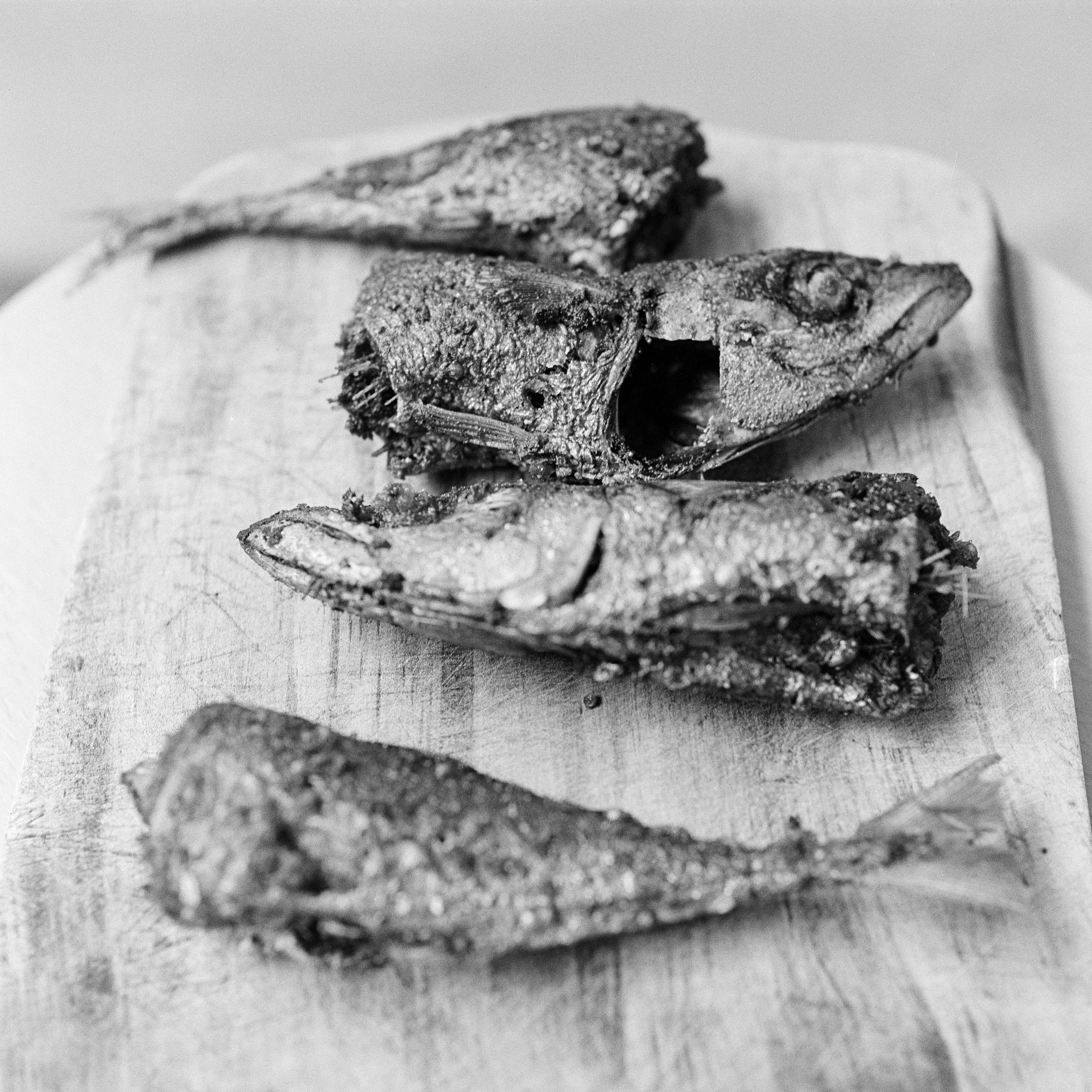 fried, temptation, drawing, ready-to-eat, close-up, still life, dish, seafood, grayscale, food and drink, fish, animals in the wild, 4K, focus on foreground, Phone HD Wallpaper