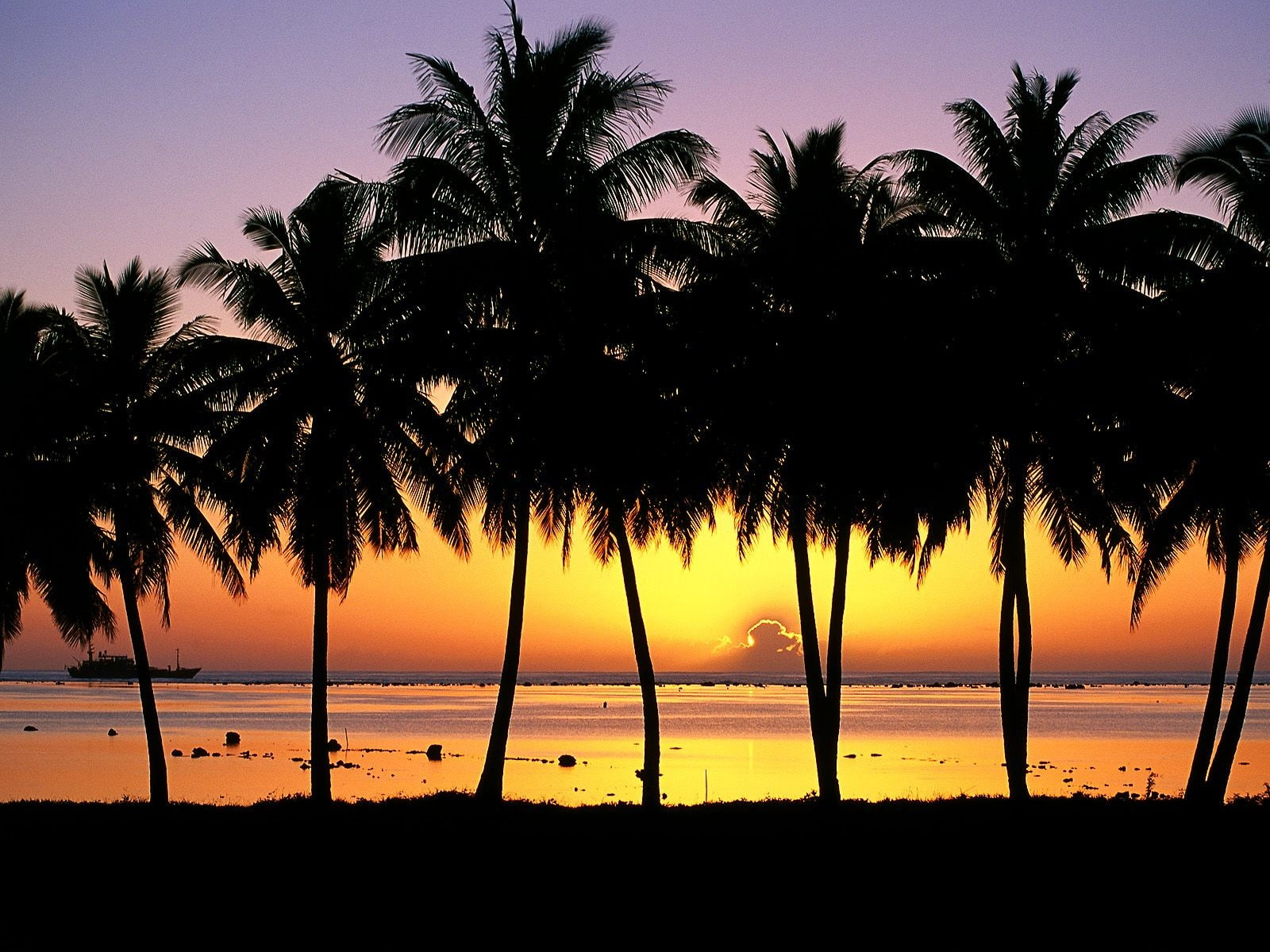 palm trees, 720P, Island, Aitutaki, Sunset, HD Wallpaper