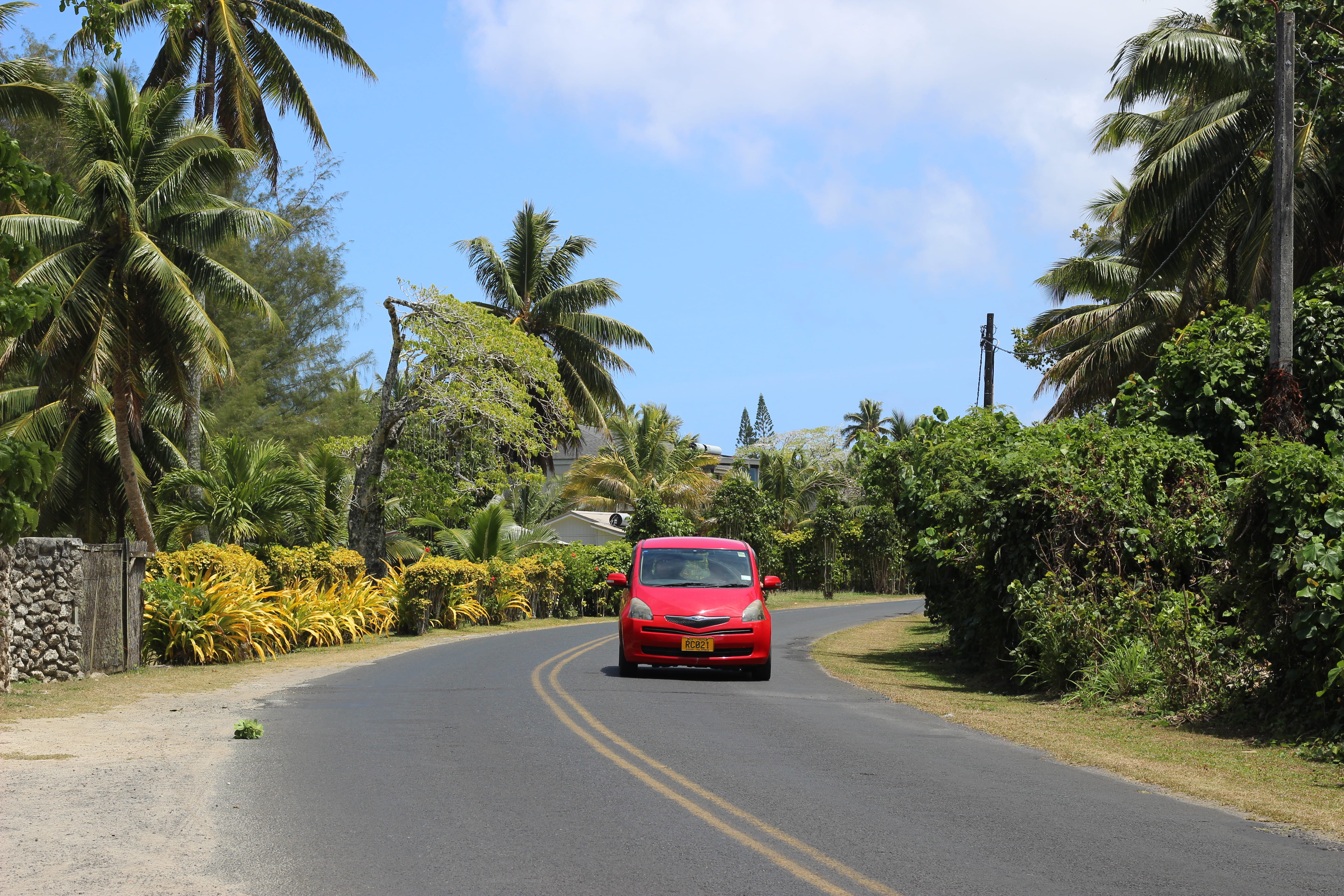 palm tree, transportation, day, red, growth, mode of transportation, travel, plant, tree, car, outdoors, no people, road trip, palm, coconut, sunlight, HD Wallpaper