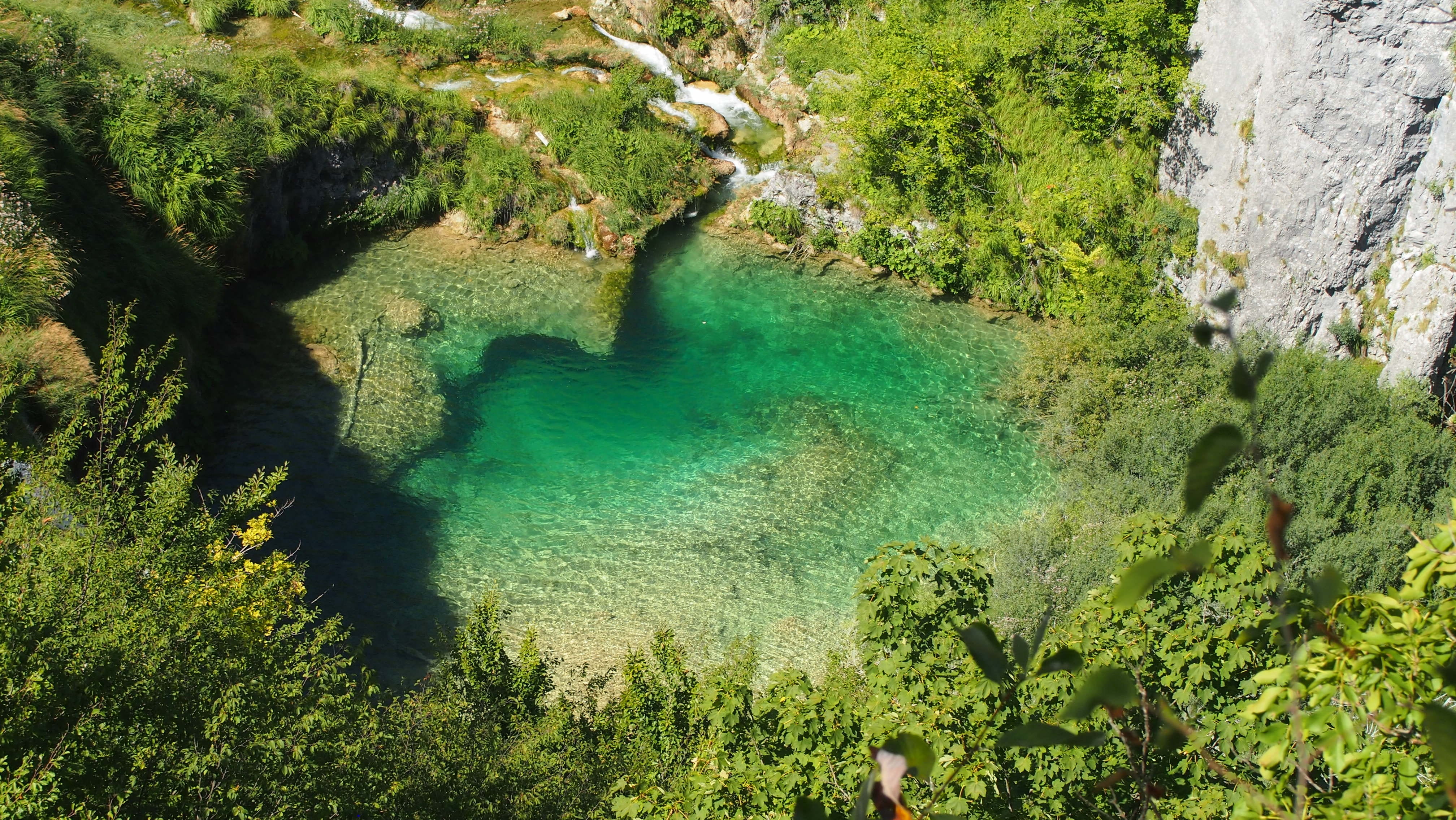 landscape, sunlight, outdoors, trees, green color, plant, plitvice lakes, 4K, no people, turquoise colored, forest, sky, world natural heritage, growth, HD Wallpaper