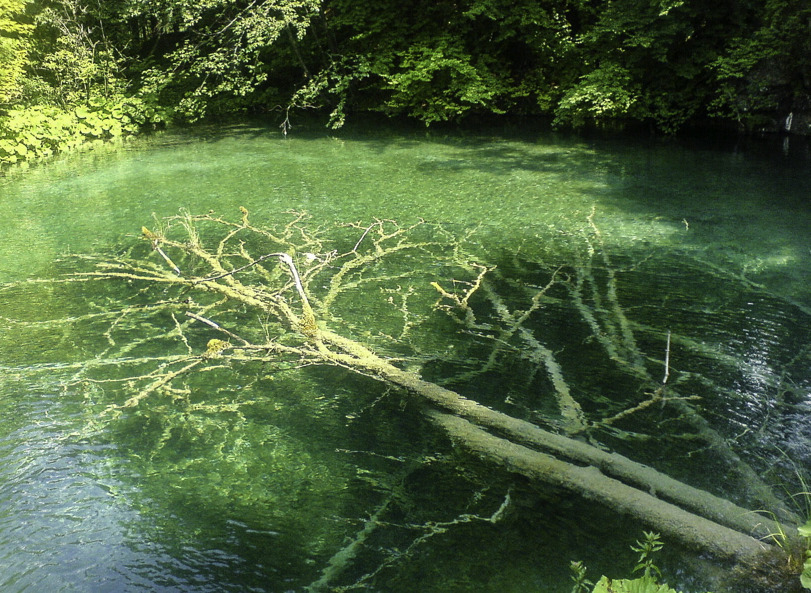 national, lake, scenics - nature, Plitvice Lakes National Park, stream, land, park, waterfront, nature, tree, growth, day, green Color, summer, 720P, plant, HD Wallpaper