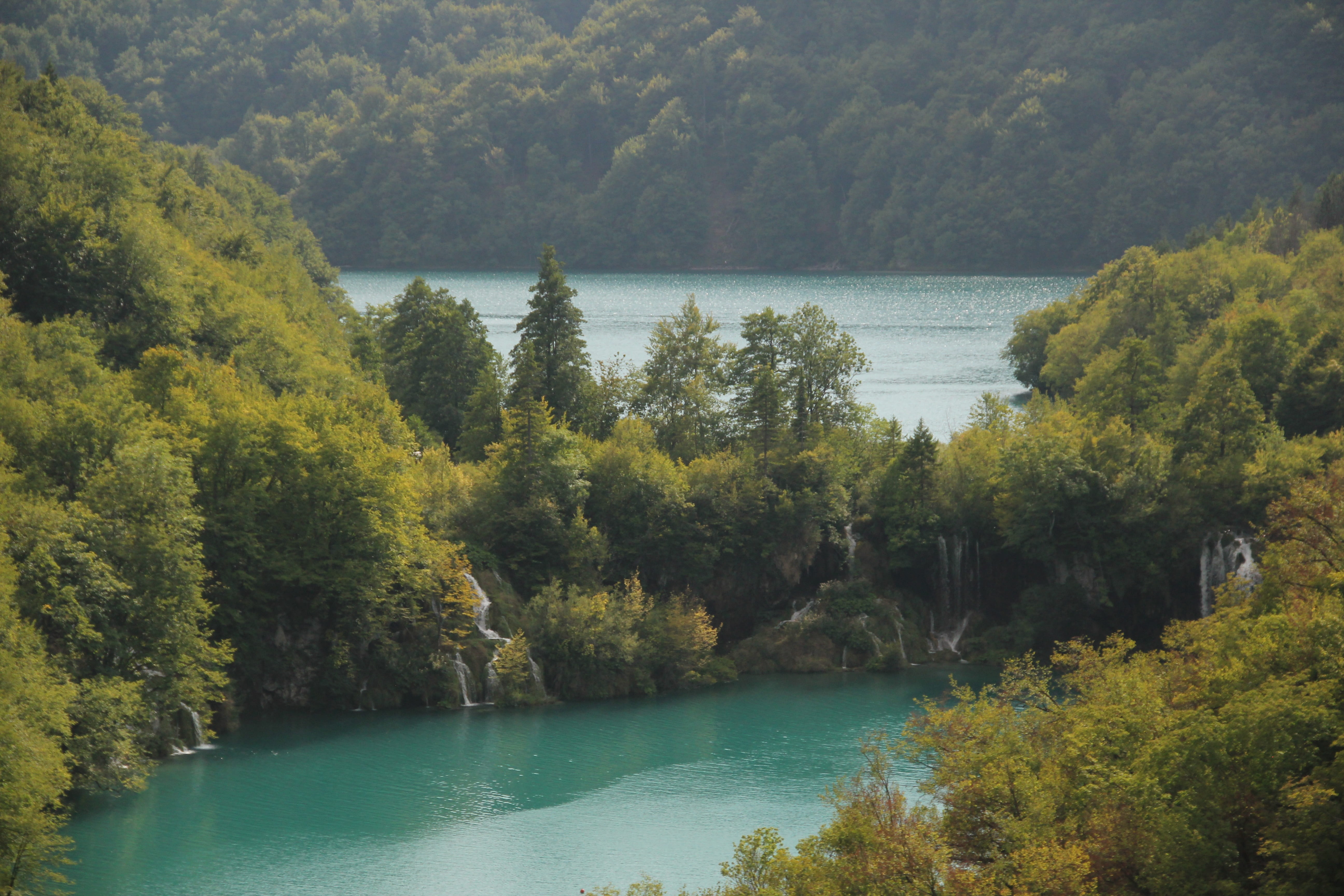 non-urban scene, nature, waterfall, tranquility, lush foliage, growth, forest, croatia, plant, turquoise, outdoors, land, water, tranquil scene, waterfalls, HD Wallpaper