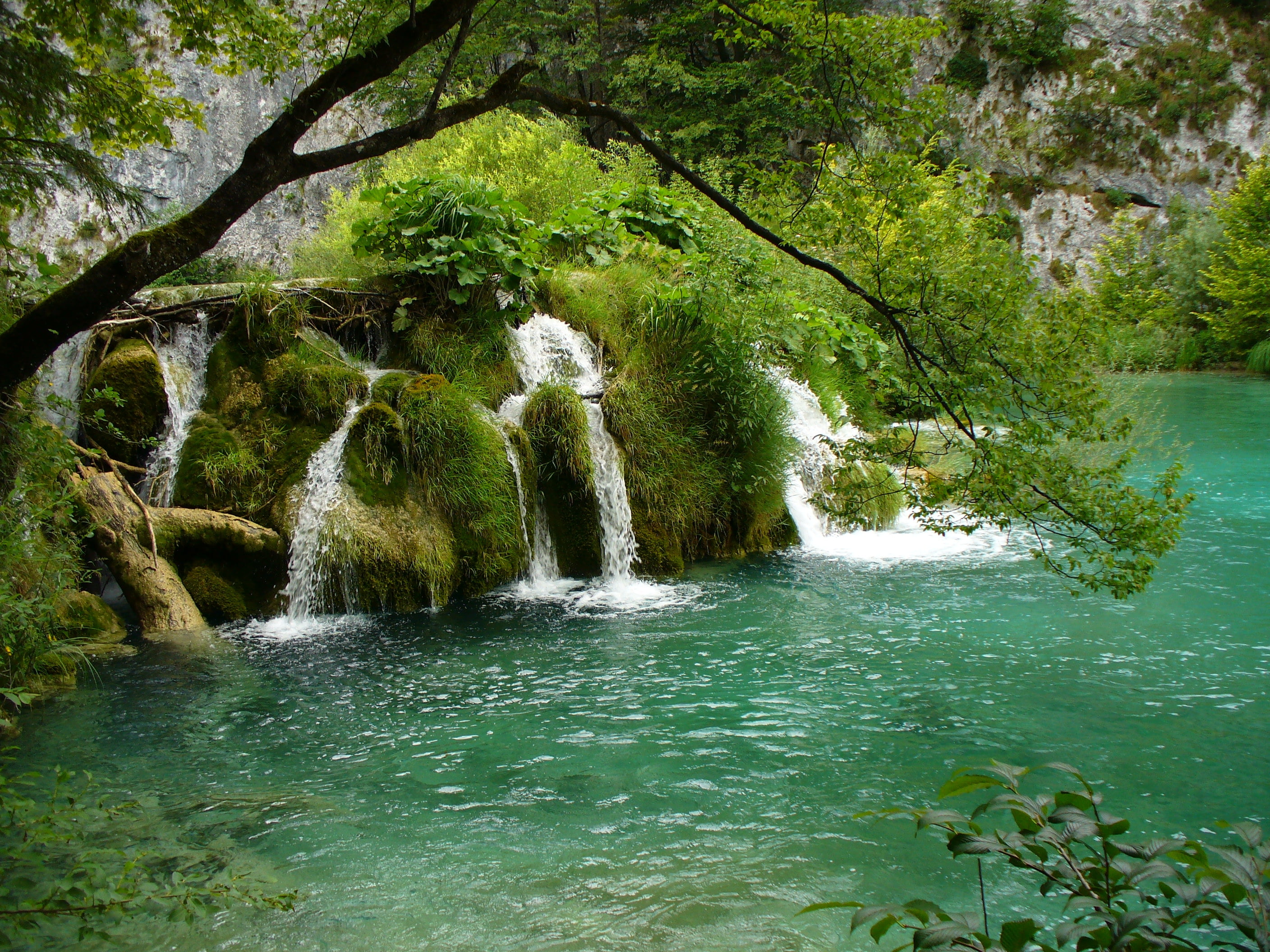 water, plant, green Color, stream, land, scenics, nature, no People, outdoors, travel Destinations, famous Place, woodland, purity, vacations, tranquil Scene, HD Wallpaper