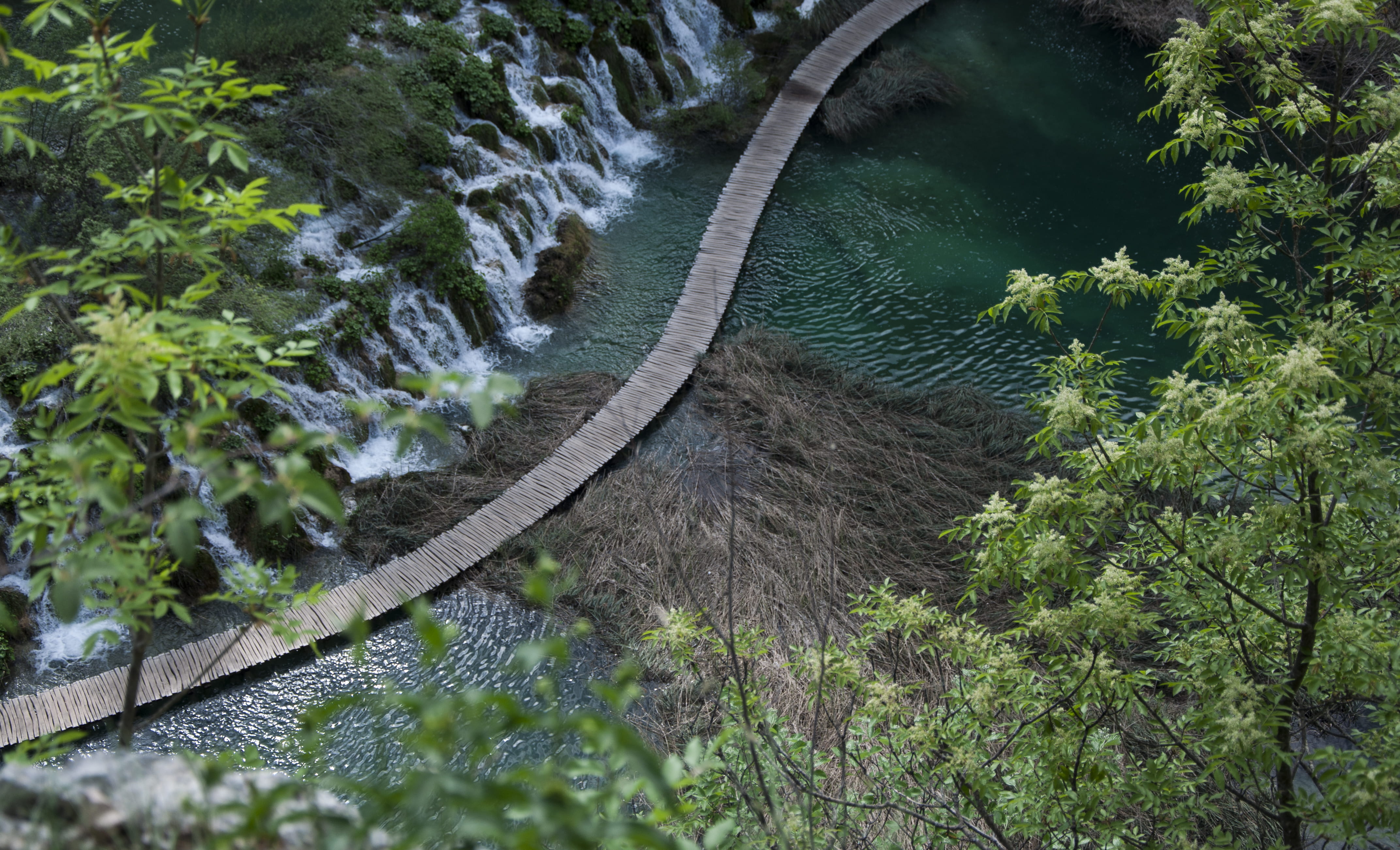 motion, tranquility, water, hiking, plitvice, lake, stream - flowing water, wood, green color, flowing water, no people, flowing, land, forest, beauty in nature, HD Wallpaper