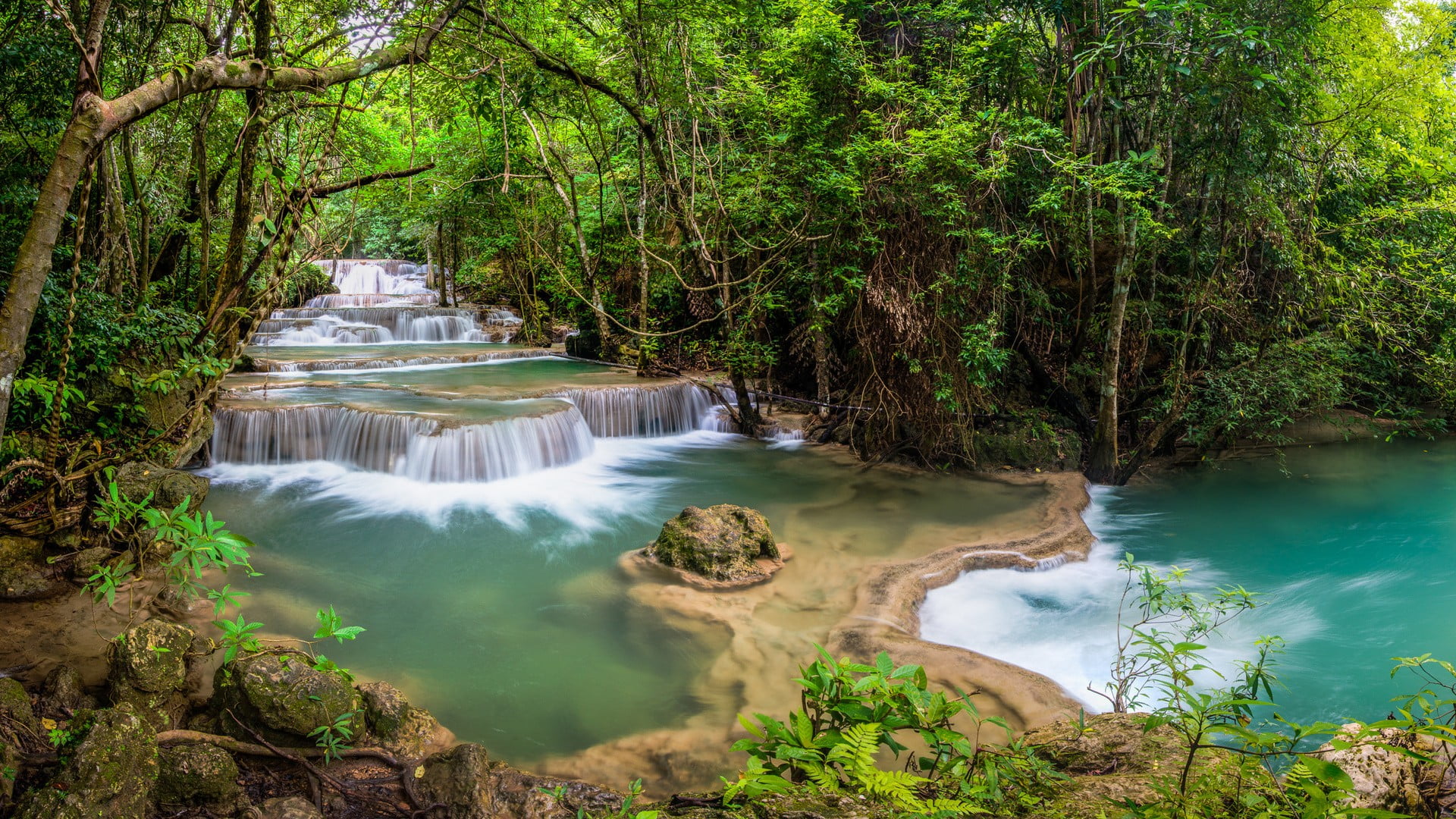 water, plant, no people, growth, nature, green color, tree, outdoors, forest, waterfall, flowing, rainforest, scenics - nature, trees, flowing water, beauty in nature, HD Wallpaper