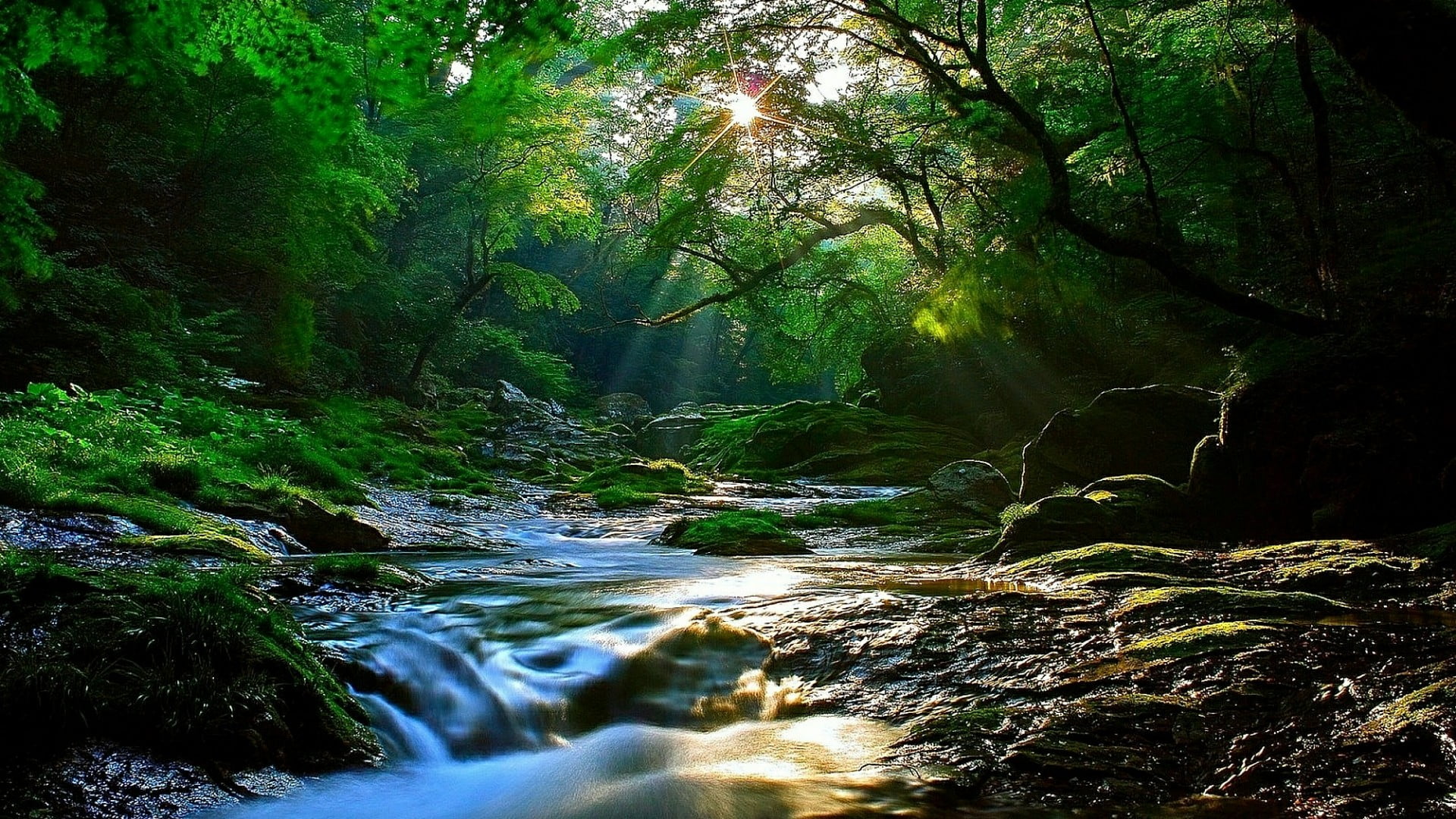 creek, tranquility, non-urban scene, rock - object, sunbeam, land, rock, no people, outdoors, flowing, plant, solid, 1080P, tree, woods, waterfall, beauty in nature, HD Wallpaper
