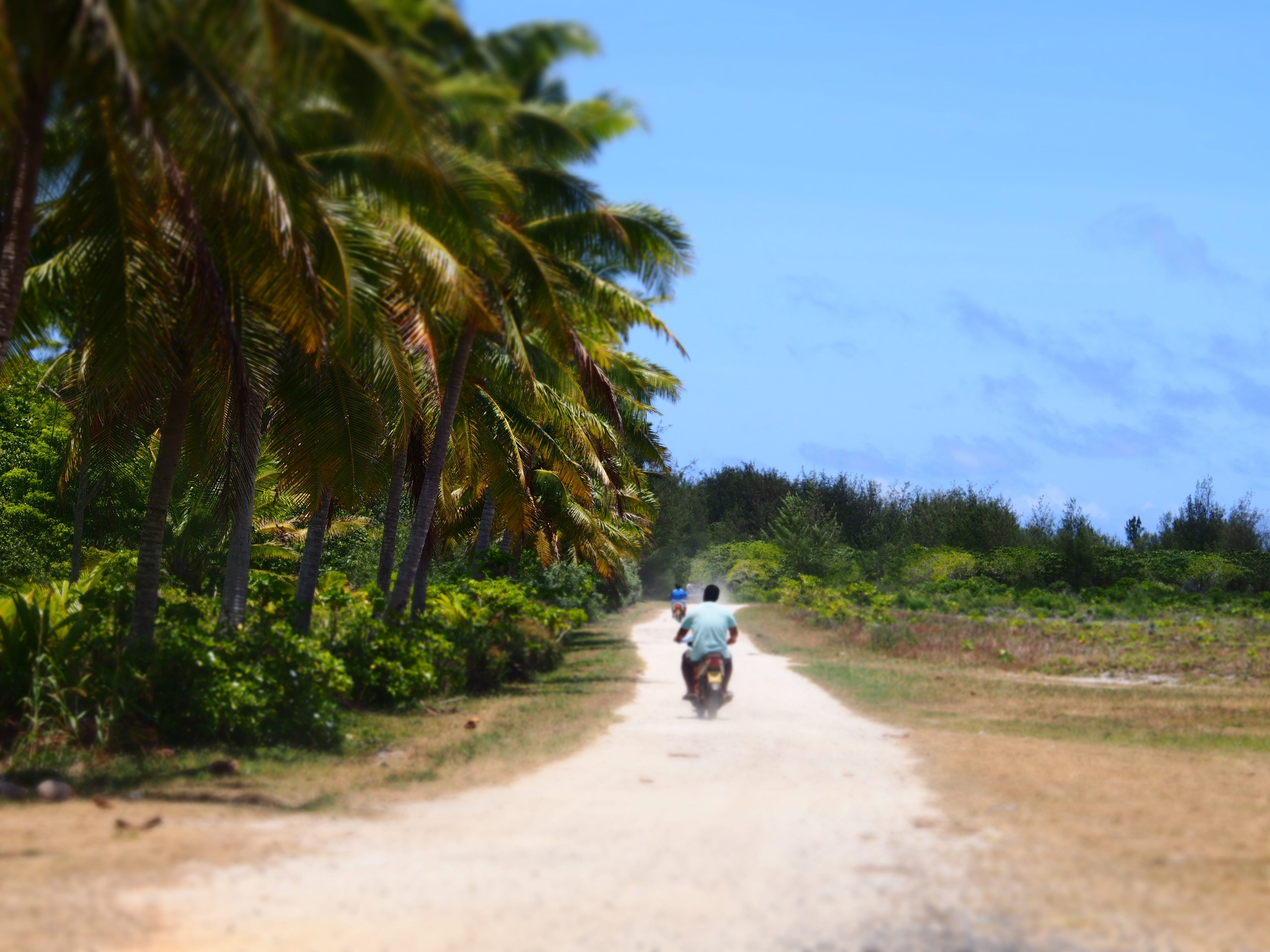 sky, aitutaki, plant, tropical, road, palm tree, two people, riding, direction, transportation, people, tropical climate, rear view, ride, cooks, real people, HD Wallpaper