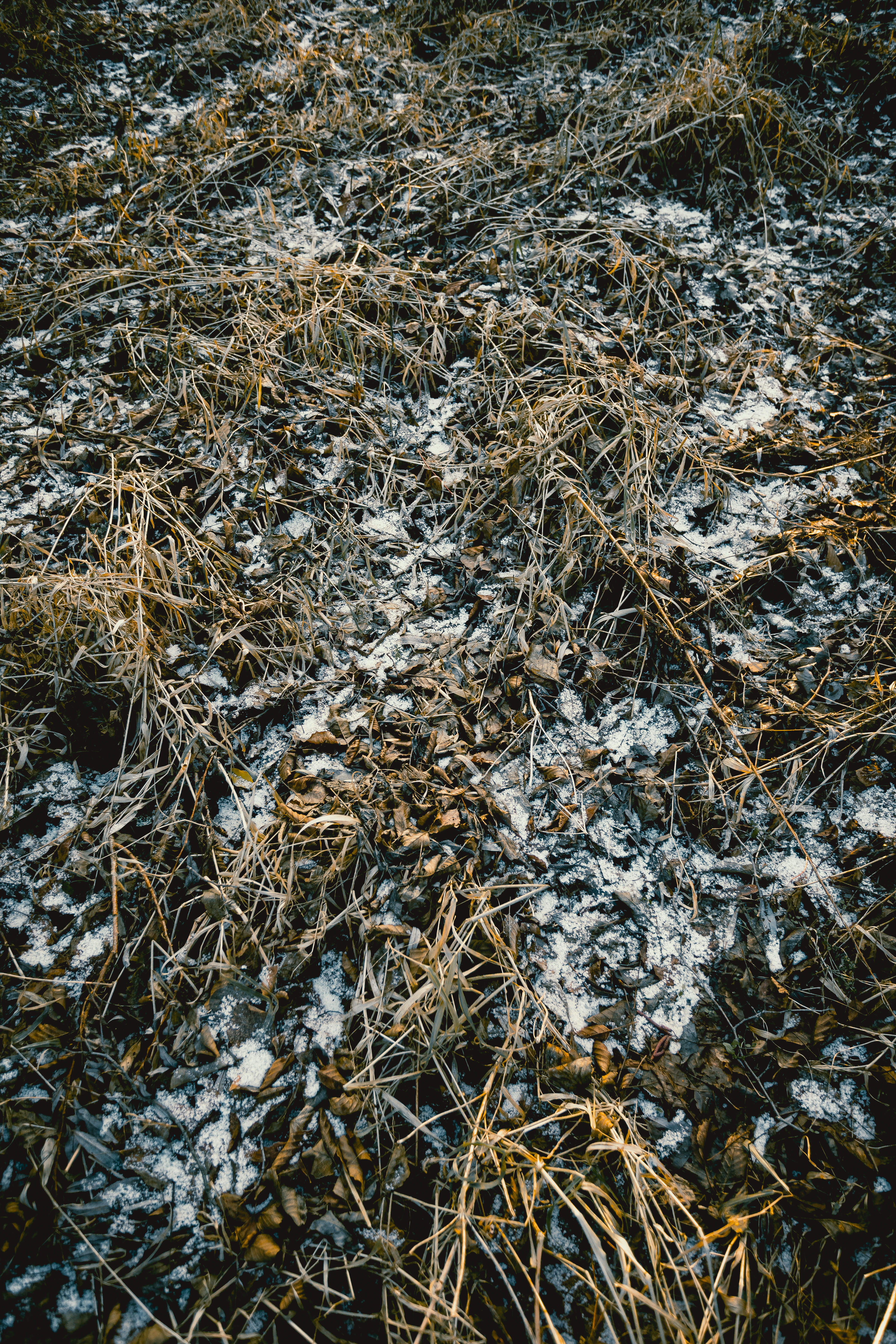 swamp, ground, stream, land, ice, beauty in nature, bog, grass, outdoors, plant, backgrounds, dry, nature, rock, 5K, frost, pollution, water, messy, no people, Phone HD Wallpaper