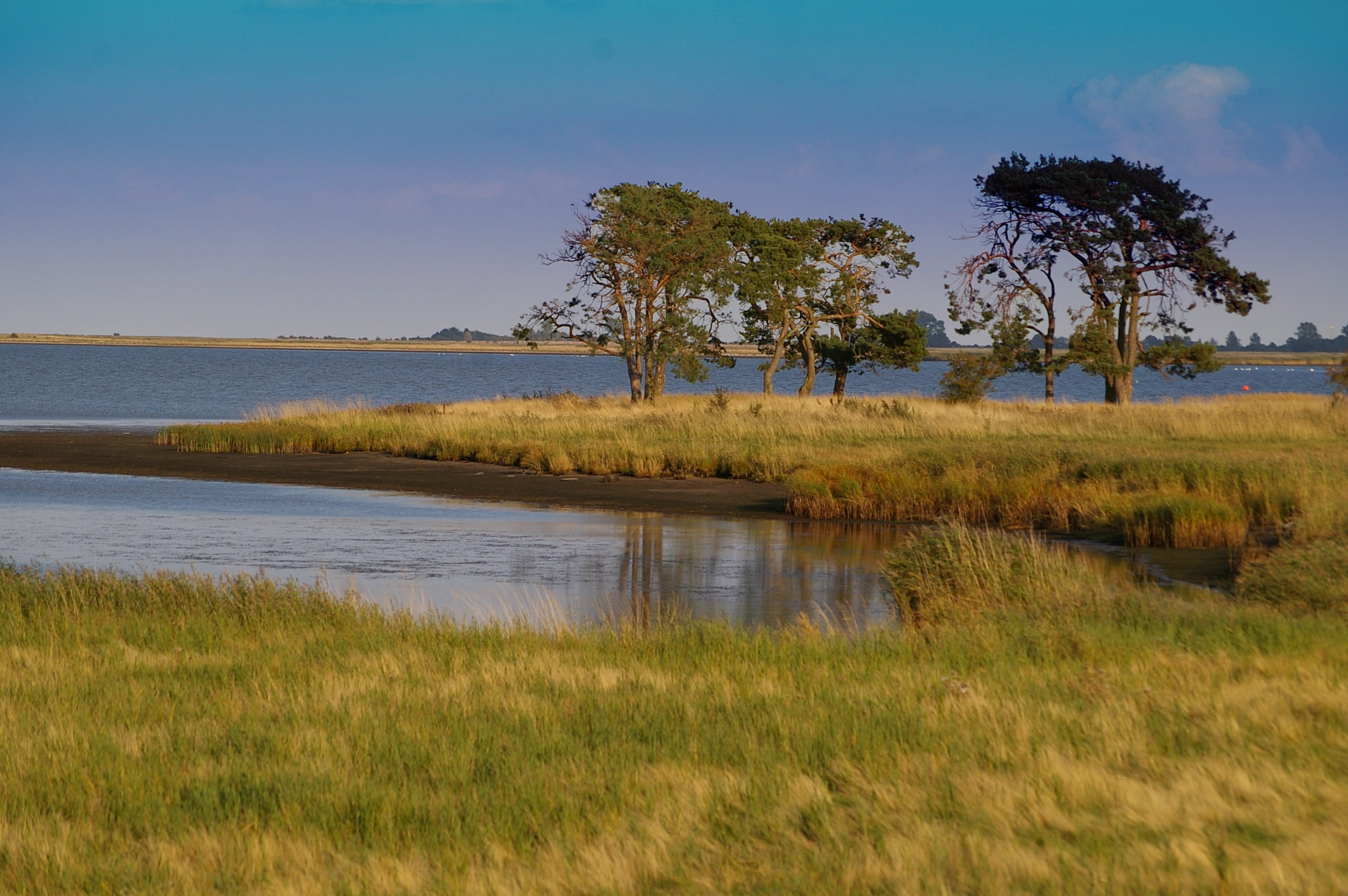 lake, billboard, grasses, tranquility, tree, protection, blue sky, nature, timothy grass, scenics - nature, note, germany, nature reserve, air, gristow, HD Wallpaper