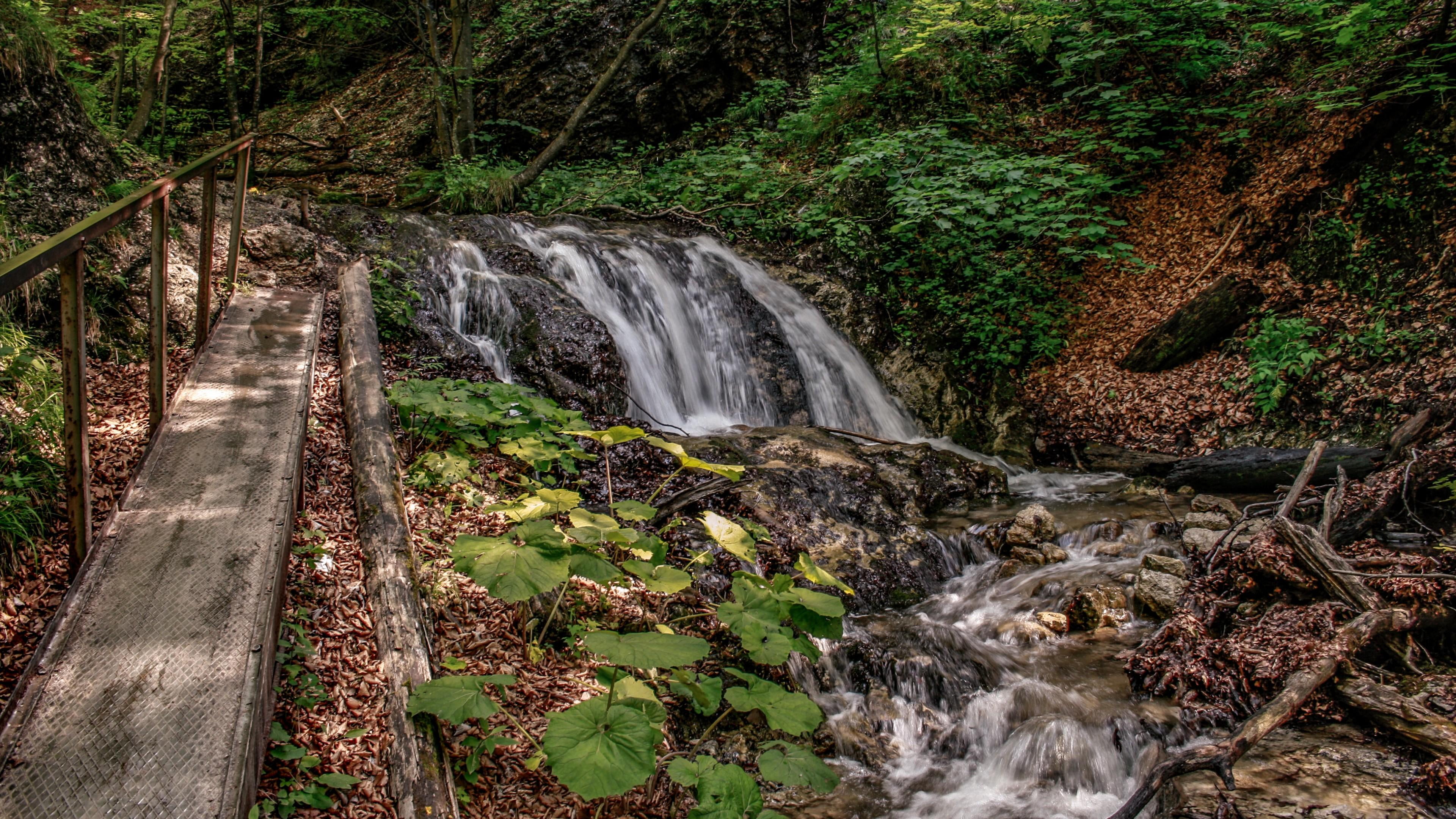 scenics - nature, growth, creek, motion, flowing water, day, nature, watercourse, falling water, land, no people, water, forest, flowing, long exposure, HD Wallpaper