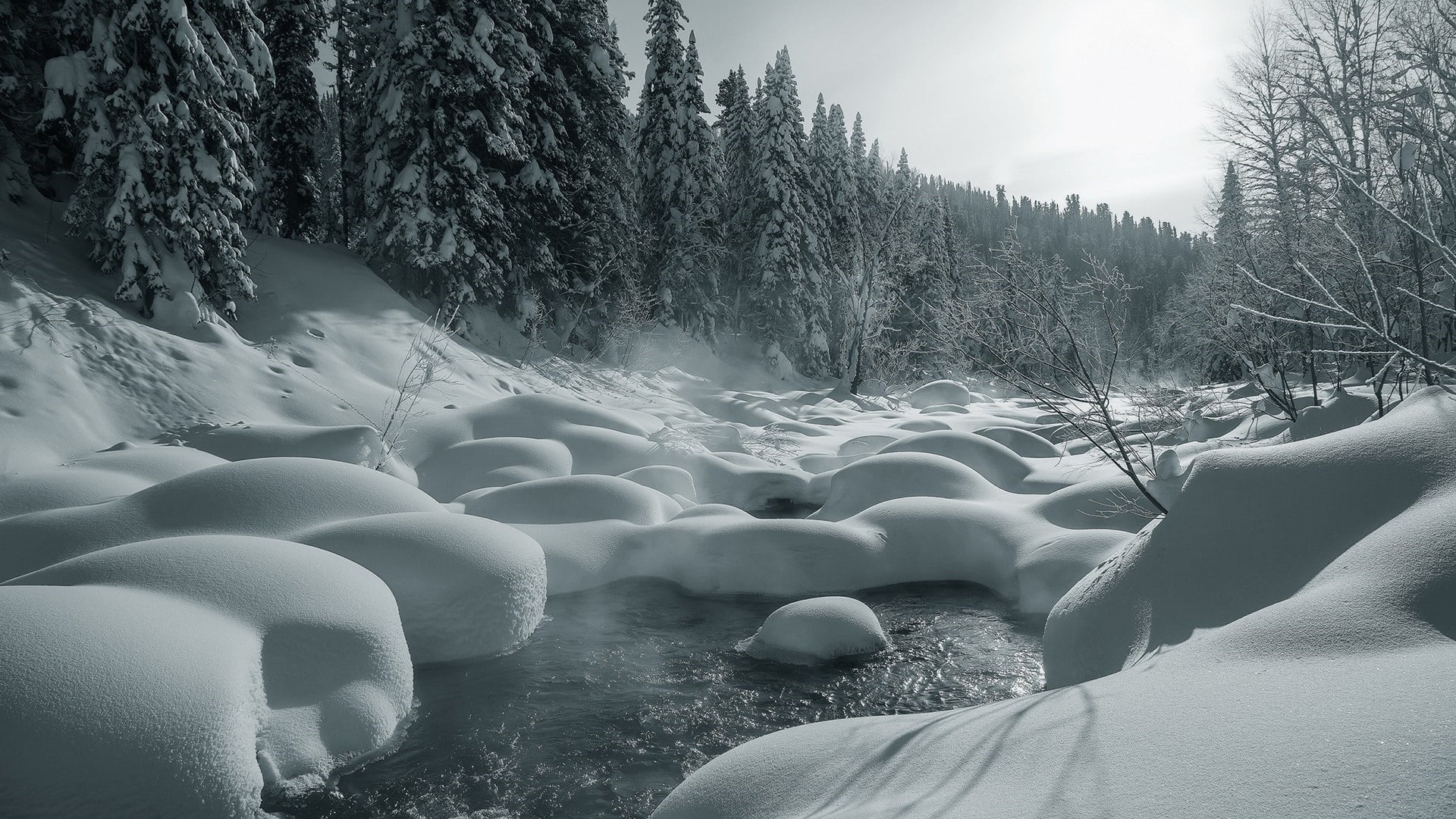 tranquility, winter, snow, day, flowing, white, sky, watercourse, cold temperature, plant, beauty in nature, tranquil scene, frozen, freezing, frost, no people, HD Wallpaper