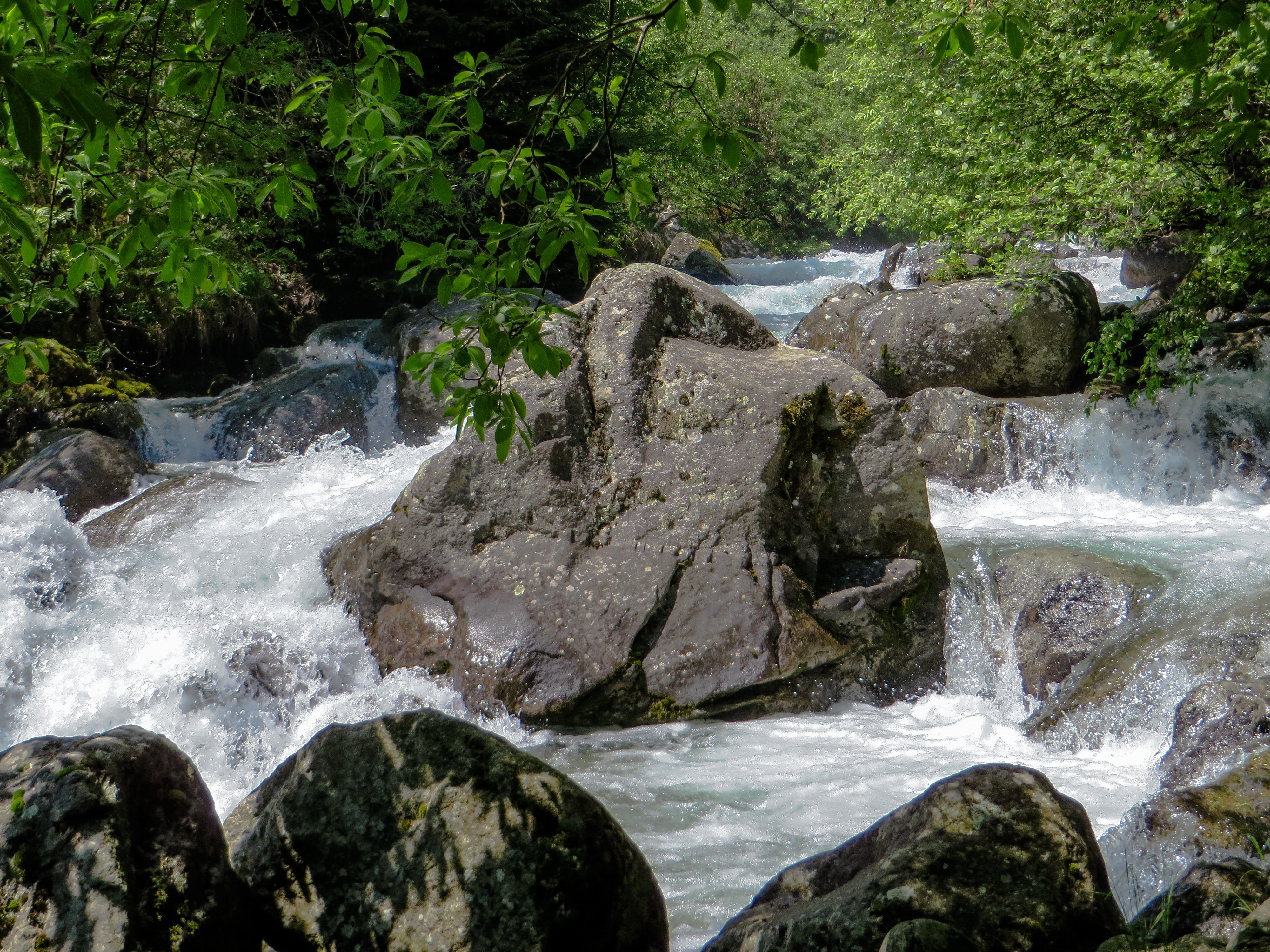 nature, splash, day, bubble, beauty in nature, bach, flowing, foaming, plant, waters, power in nature, landscape, outdoors, solid, mountain stream, rainforest, HD Wallpaper