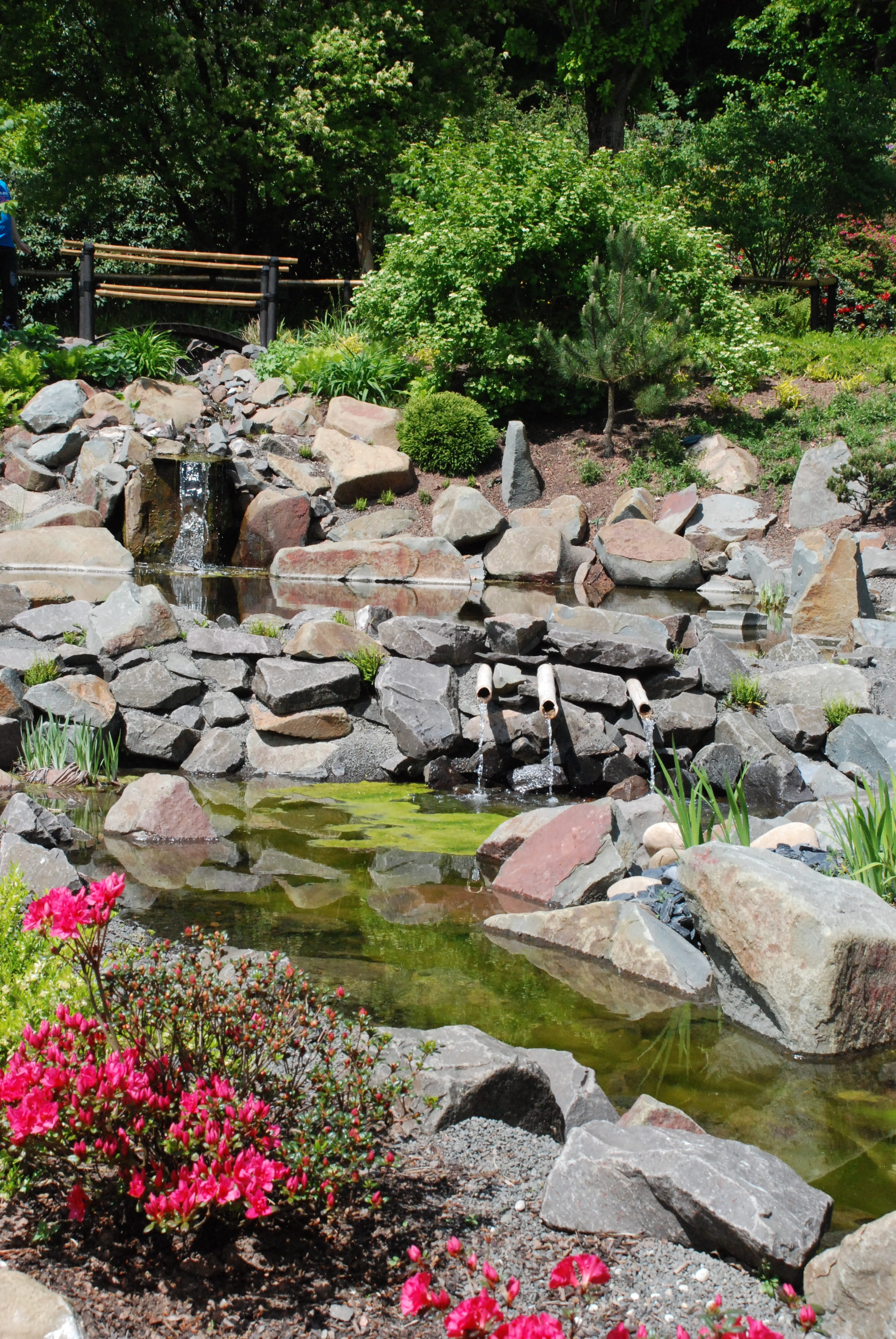 growth, beauty in nature, flowing water, water, japanese garden, solid, flowing, rock - object, stone - object, tranquil scene, bach, horticulture, tranquility, Phone HD Wallpaper