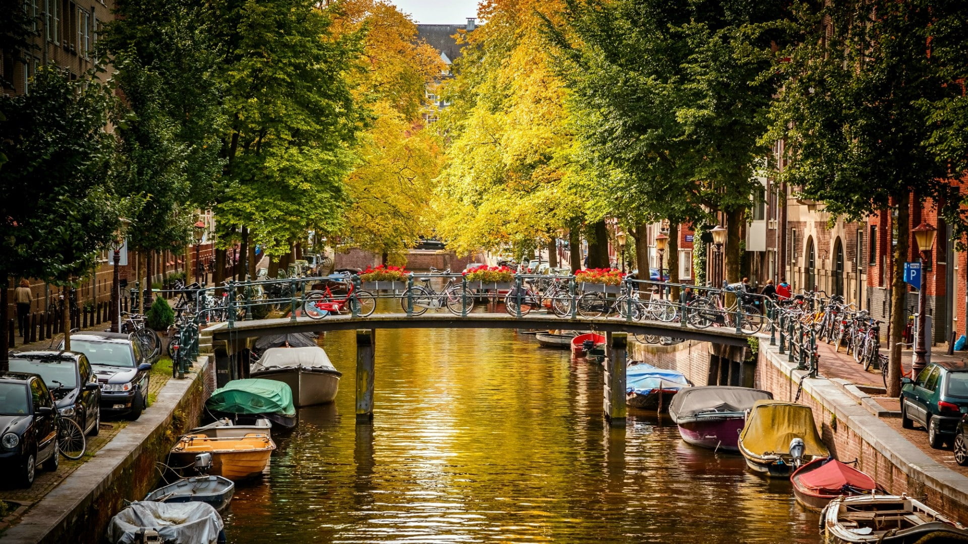city, tree, waterfront, 1080P, europe, netherlands, nautical vessel, incidental people, canal, built structure, moored, town, transportation, waterway, HD Wallpaper