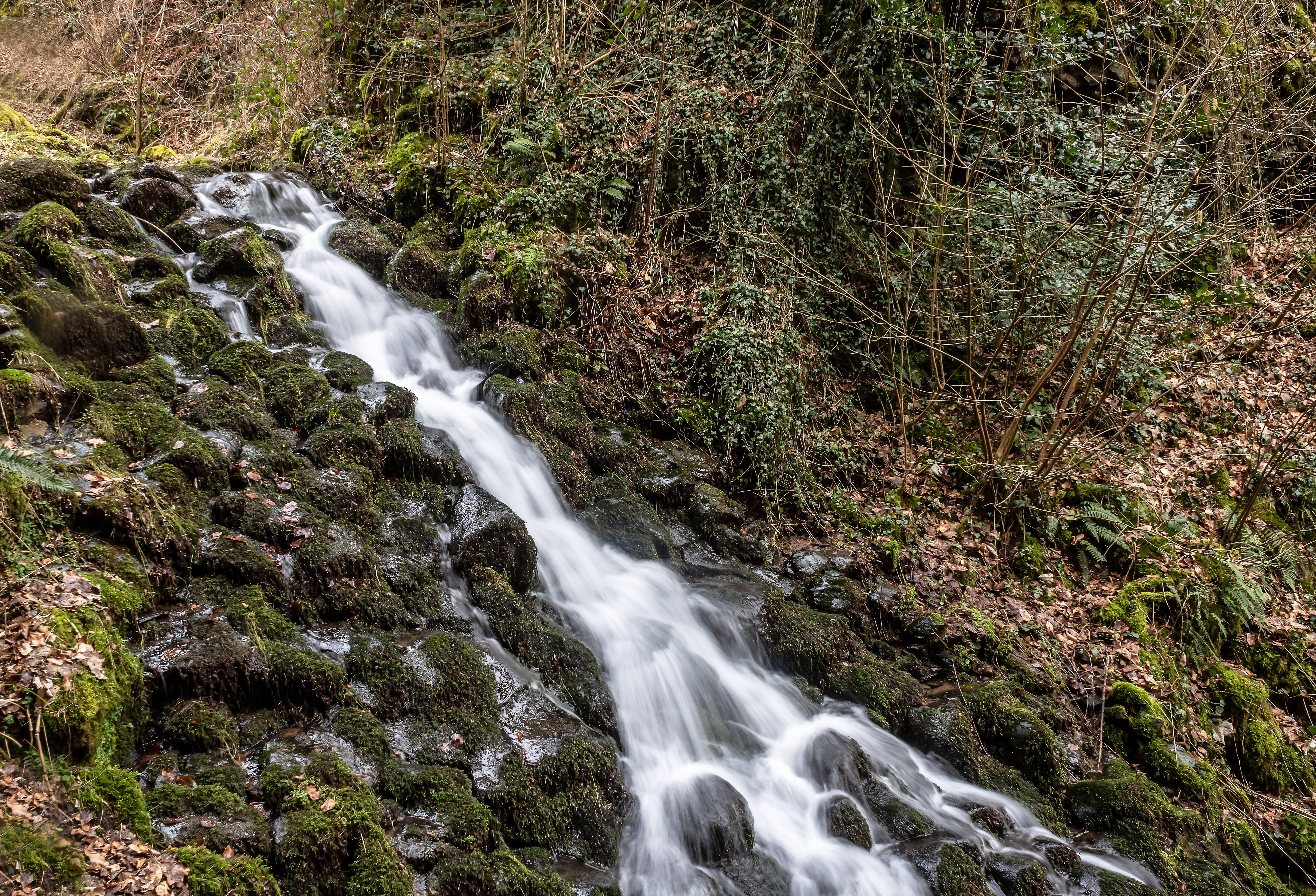 land, blurred motion, plant, forest, vulkaneifel, water, rest, non-urban scene, nature, movement, watercourse, flow, 5K, stones, river üssbach, rock, no people, HD Wallpaper