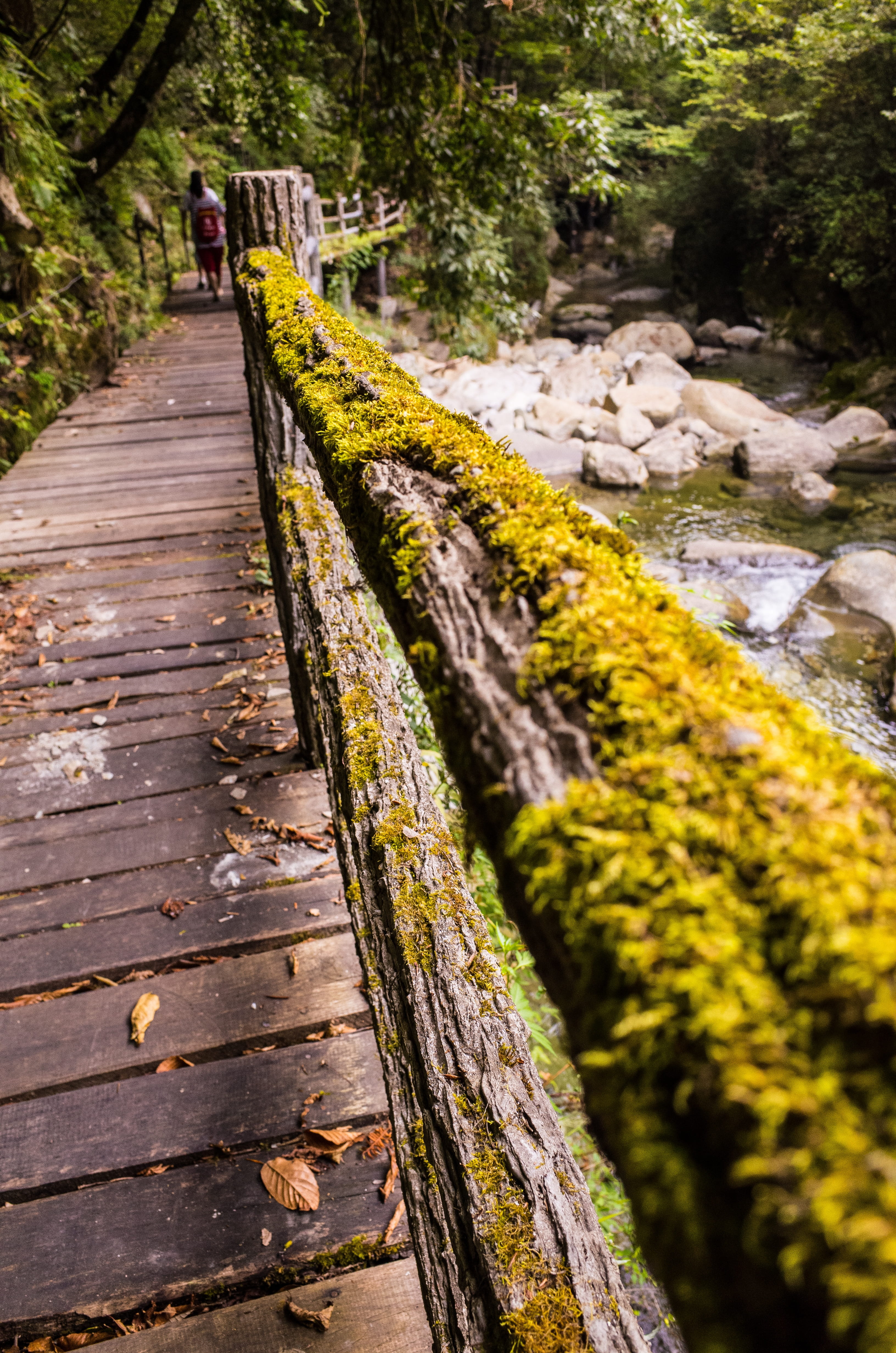 railing, protection, no people, tranquility, on the shore of the stone, tree, waters, river, national park, footbridge, outdoors, wülfershausen, the scenic natural, Phone HD Wallpaper