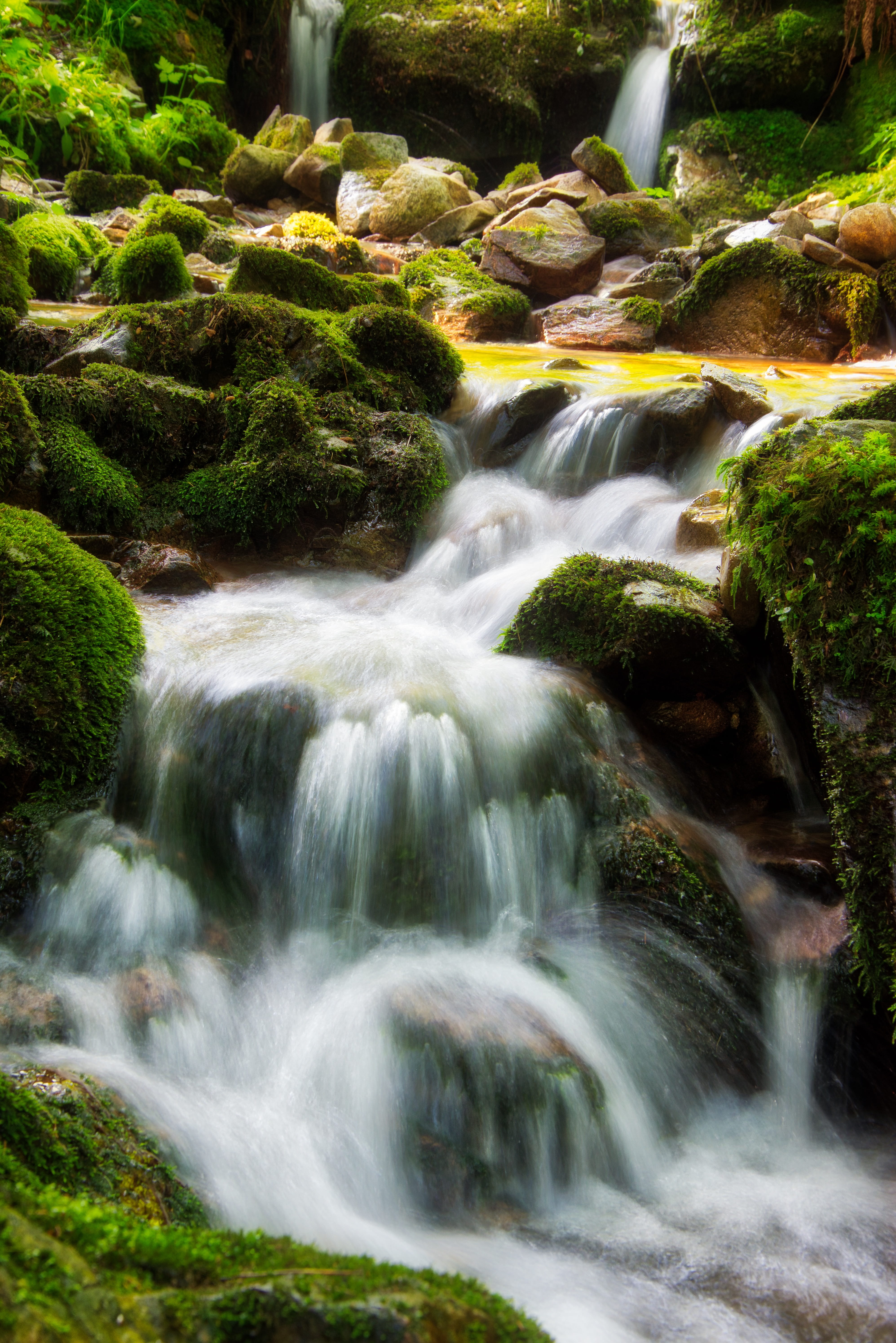 beauty in nature, nature, mountain stream, long exposure, plant, solid, tree, flowing, flow, no people, waterfall, bach, 5K, germany, motion, environment, Phone HD Wallpaper