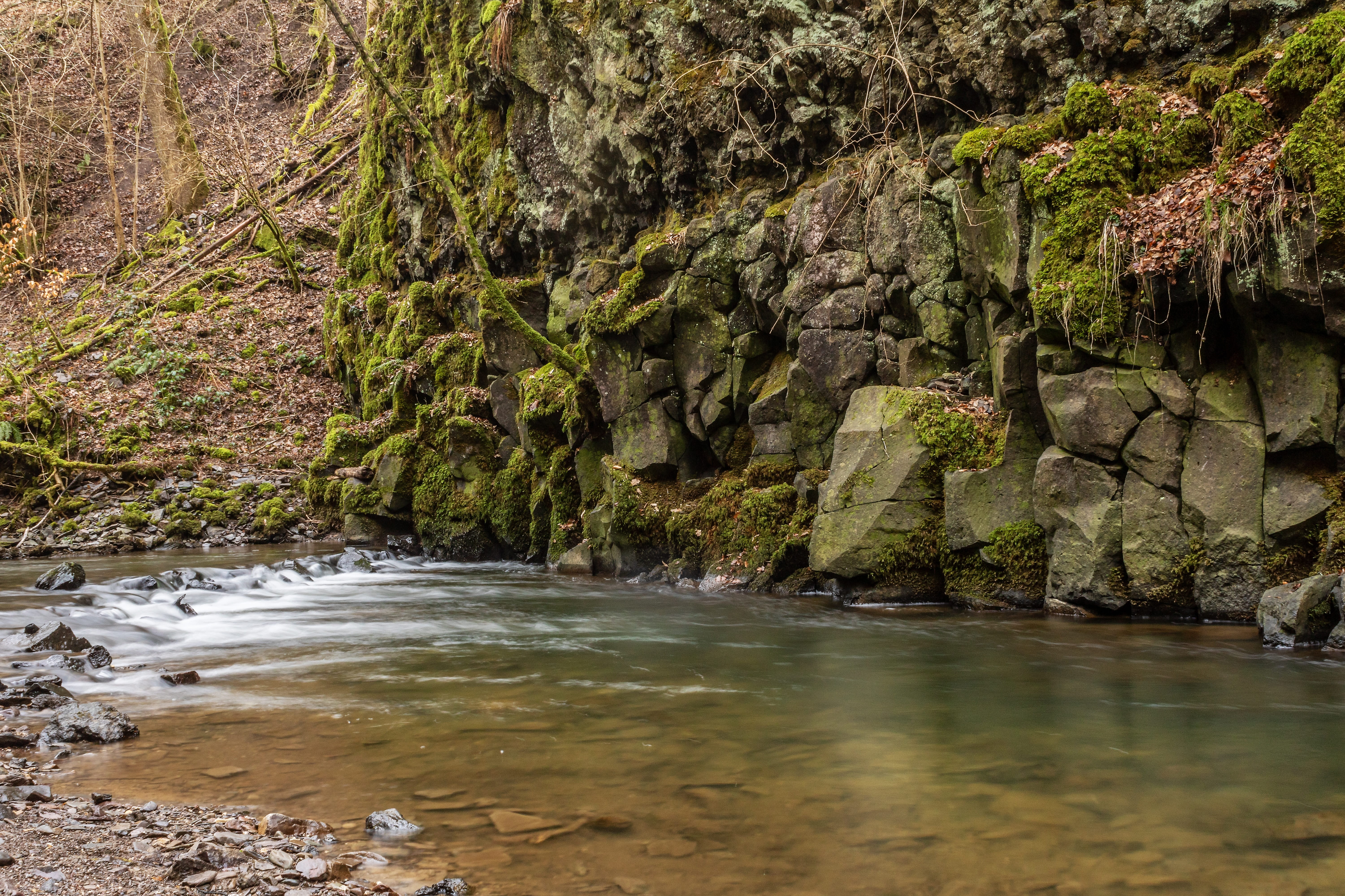 rock - object, waters, land, landscape, moss, watercourse, stones, outdoors, plant, nature, river üssbach, vulkaneifel, bad bertrich, beauty in nature, HD Wallpaper