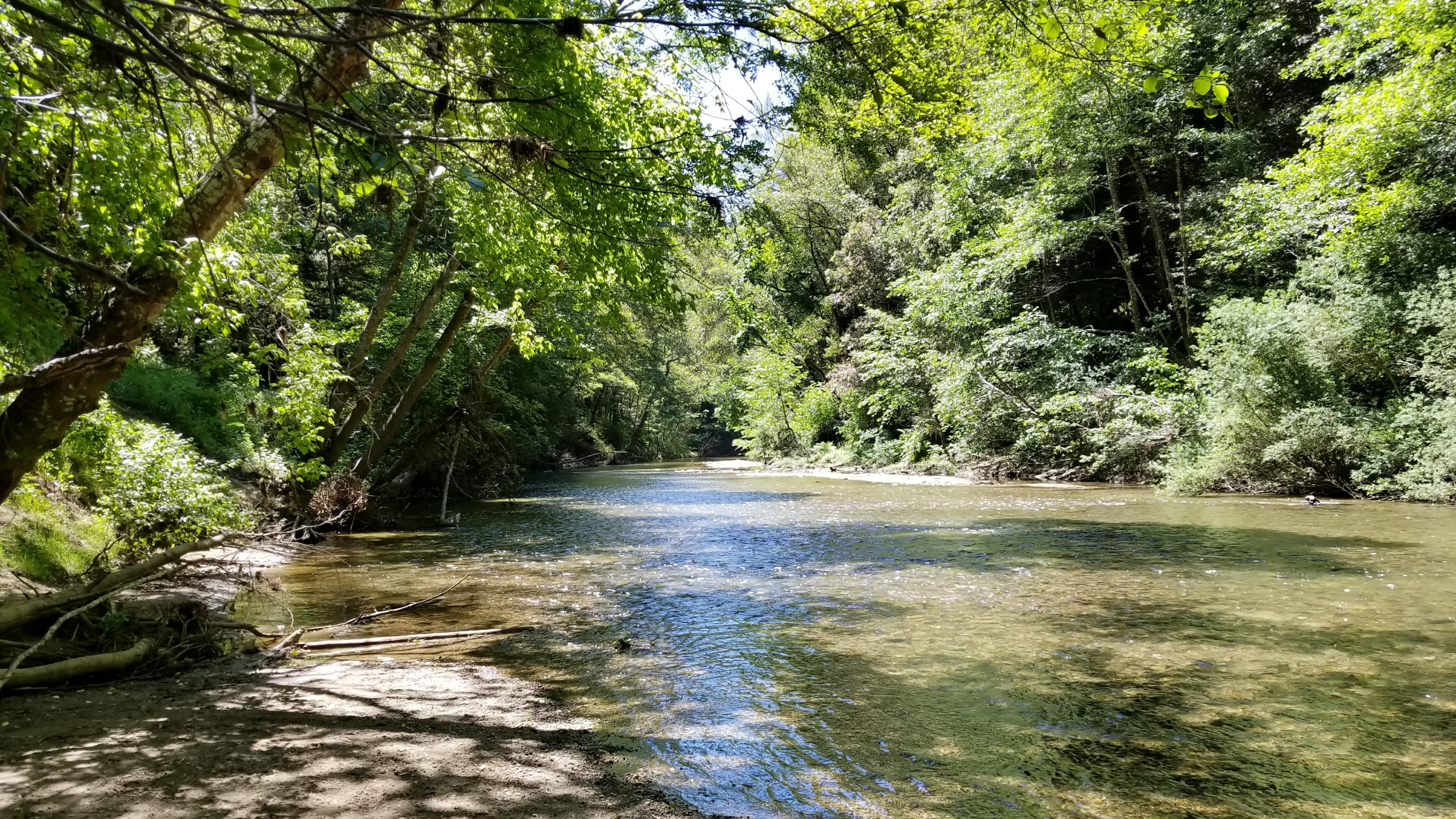 motion, watercourse, rainforest, body of water, water resources, growth, nature reserve, tranquility, river, green color, water, 4K, no people, scenics - nature, HD Wallpaper