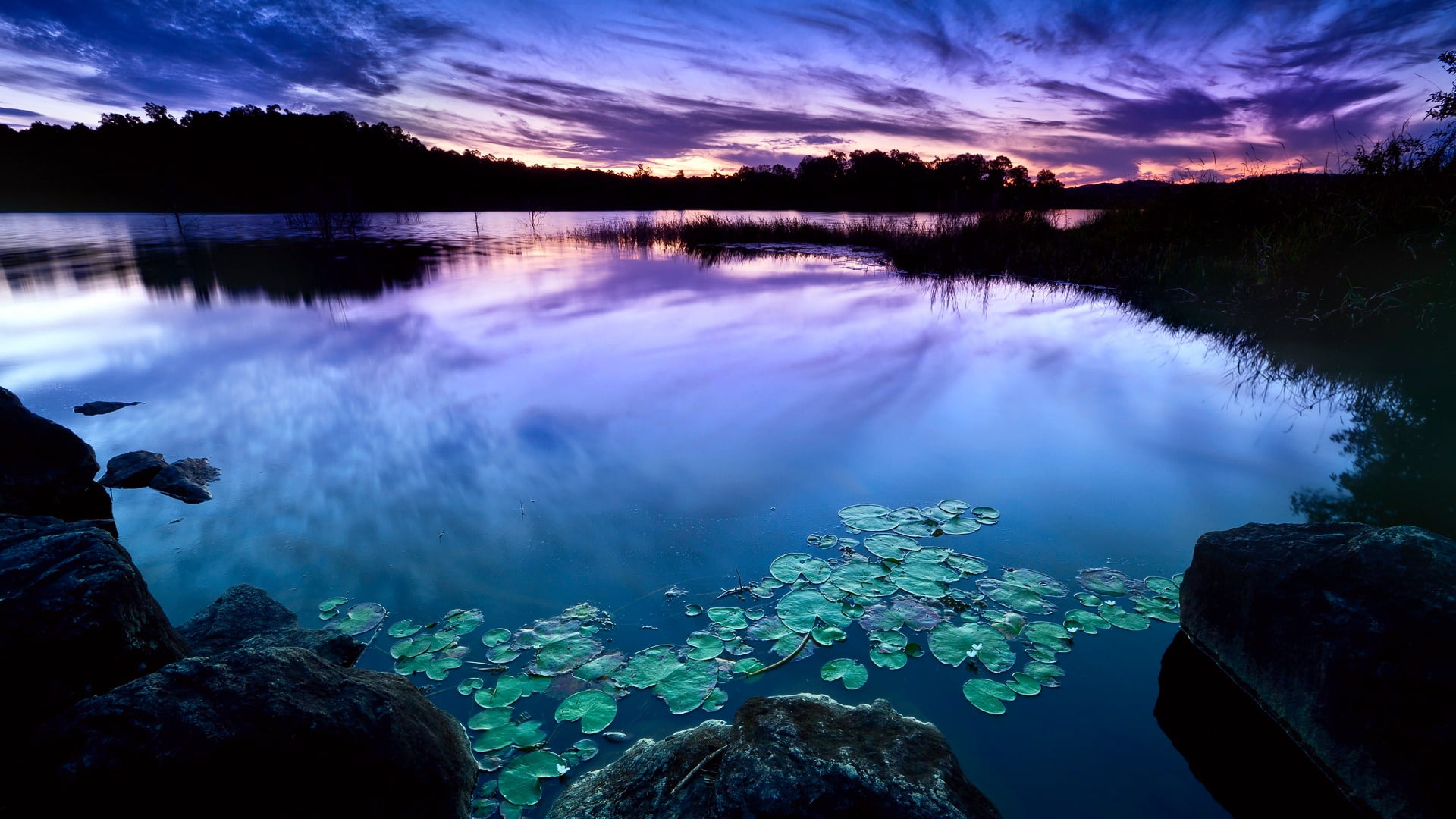 1080P, sky, calm, tranquility, idyllic, scenics - nature, cloud - sky, solid, tranquil scene, plant, nature, watercourse, tree, marine, lake, dusk, reflection, HD Wallpaper