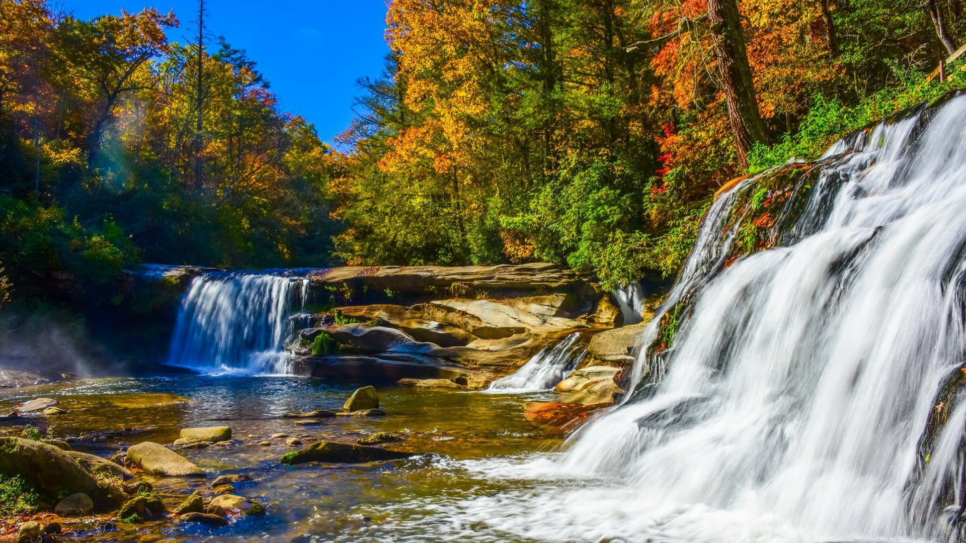 nature reserve, change, nature, splashing, tree, plant, rock - object, flowing water, long exposure, outdoors, waterfall, stream, creek, stream - flowing water, HD Wallpaper