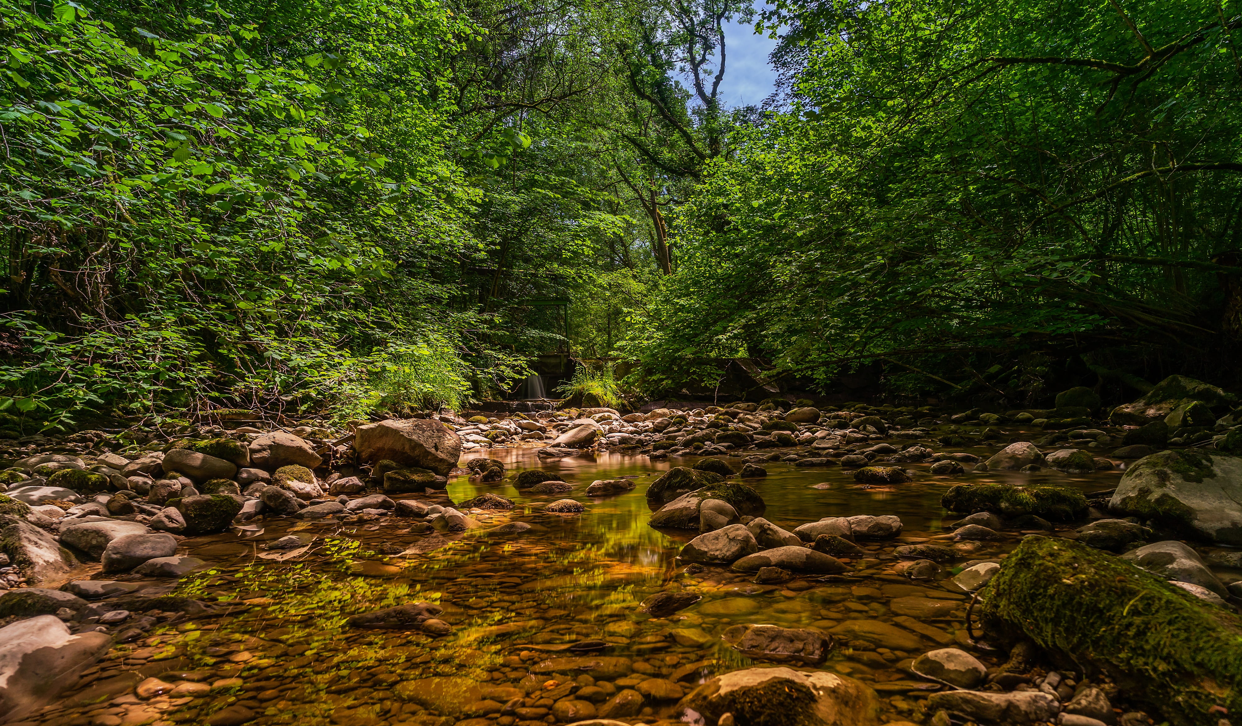 flowing, scenics - nature, tree, summer, rock - object, landscape, rock, tranquility, non-urban scene, day, stream - flowing water, water, branches, mirroring, HD Wallpaper