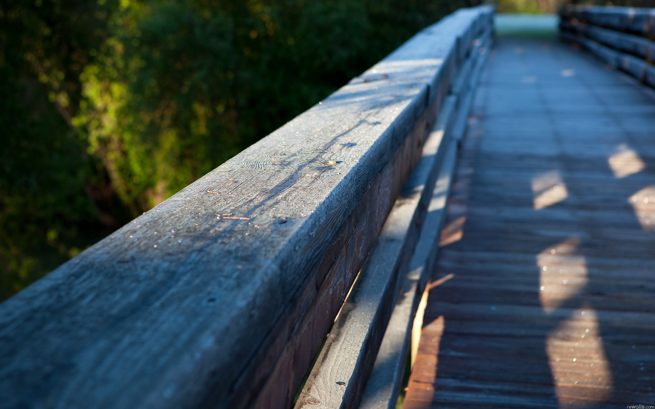 metal, plant, gray, plank, wooden, nature, bridge, focus on foreground, textured, close-up, outdoors, selective focus, sunlight, day, diminishing perspective, HD Wallpaper