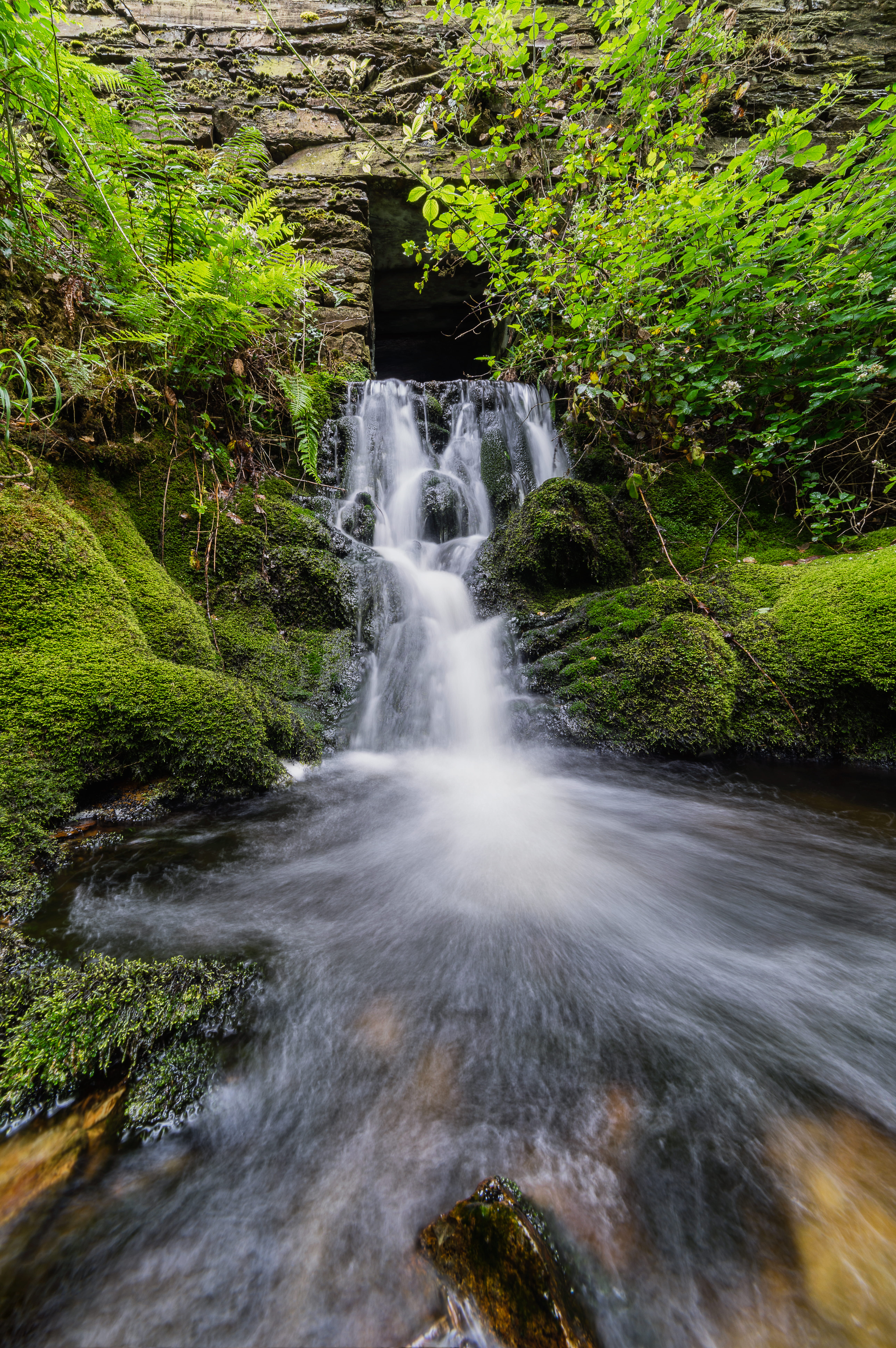 flow, beauty in nature, scenics - nature, united kingdom, no people, art, long exposure, plant, land, power in nature, rainforest, river, growth, wales, Phone HD Wallpaper