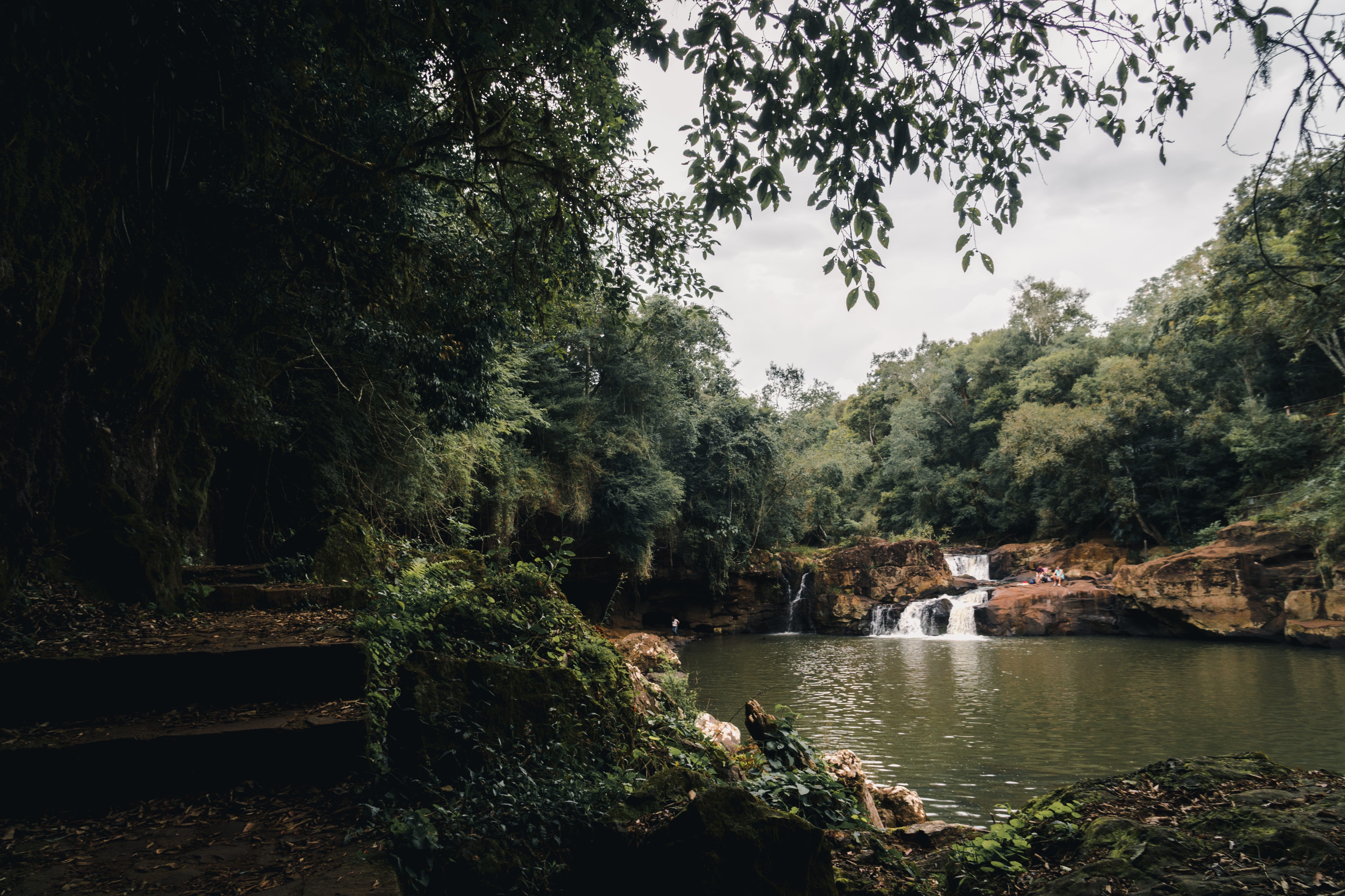forest, tree, nature, argentina, water, plant, flowing water, river, scenics - nature, 5K, day, green color, tranquility, no people, growth, land, gruta india, HD Wallpaper