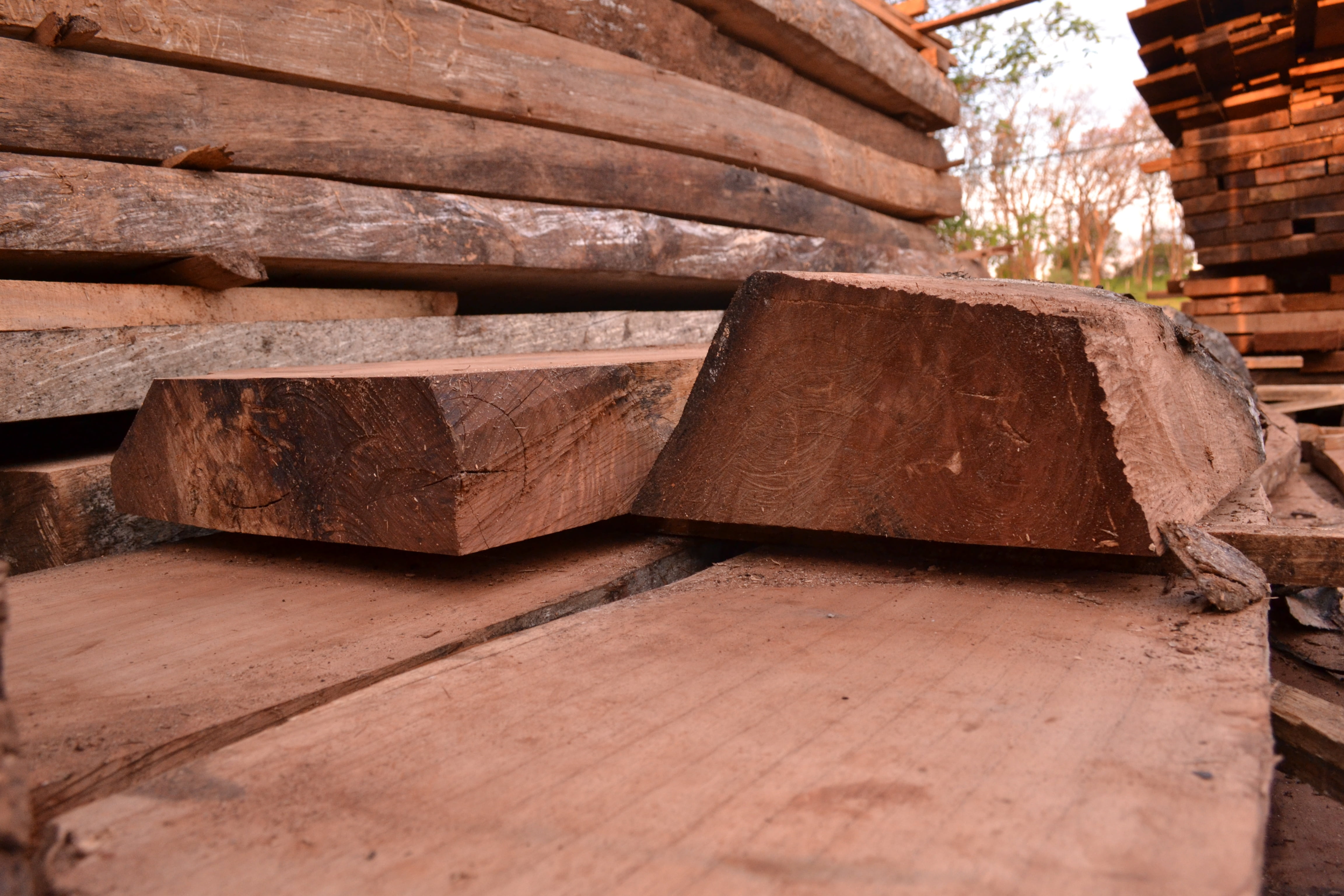 wood, pattern, day, misiones province, backgrounds, full frame, stack, wood - material, 4K, hardwood, large group of objects, nature, brown, argentina, HD Wallpaper
