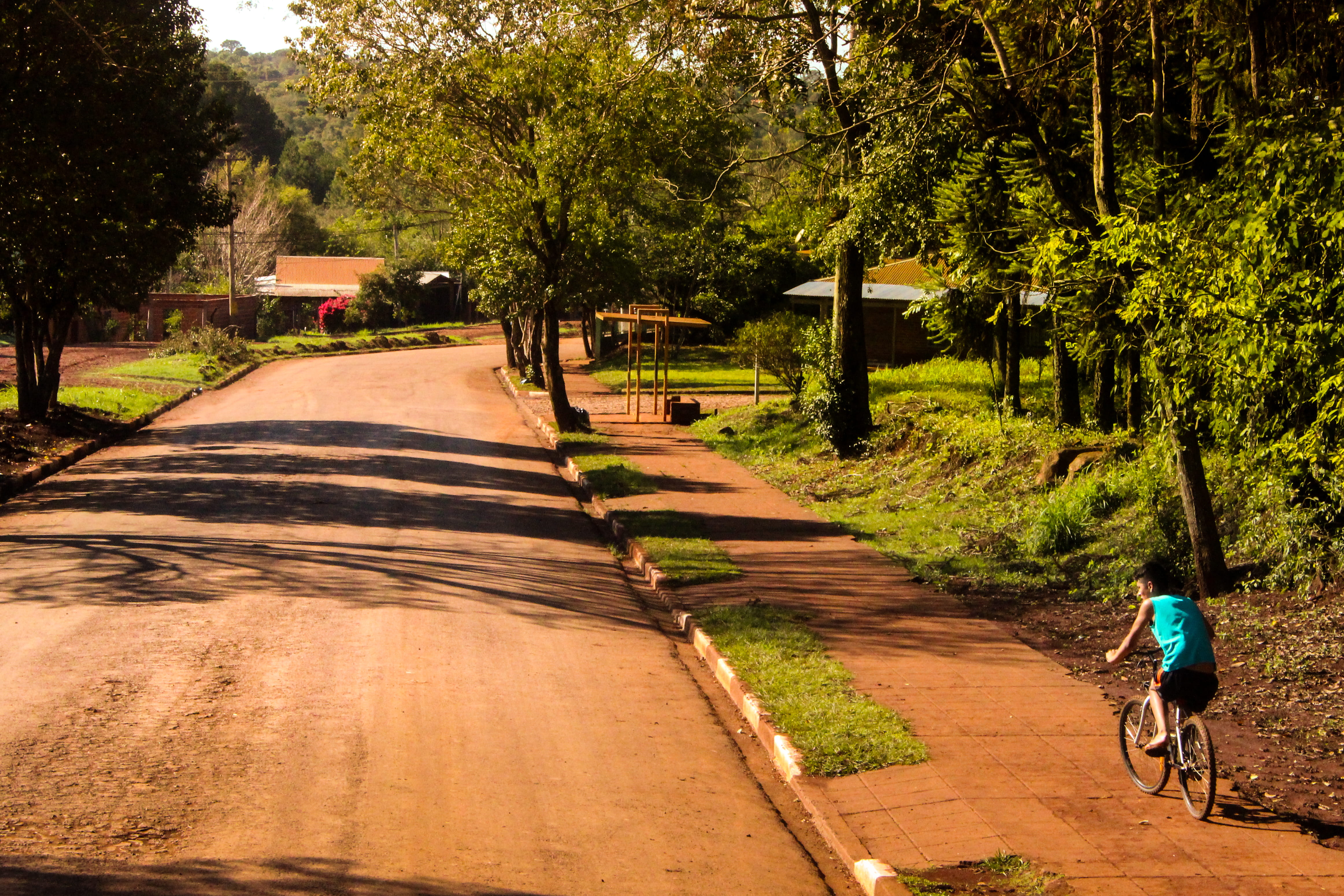 growth, transportation, tree, ride, land vehicle, riding, child, rear view, puerto wanda, plant, direction, green, dom, bicycle, road, misiones, outdoors, HD Wallpaper