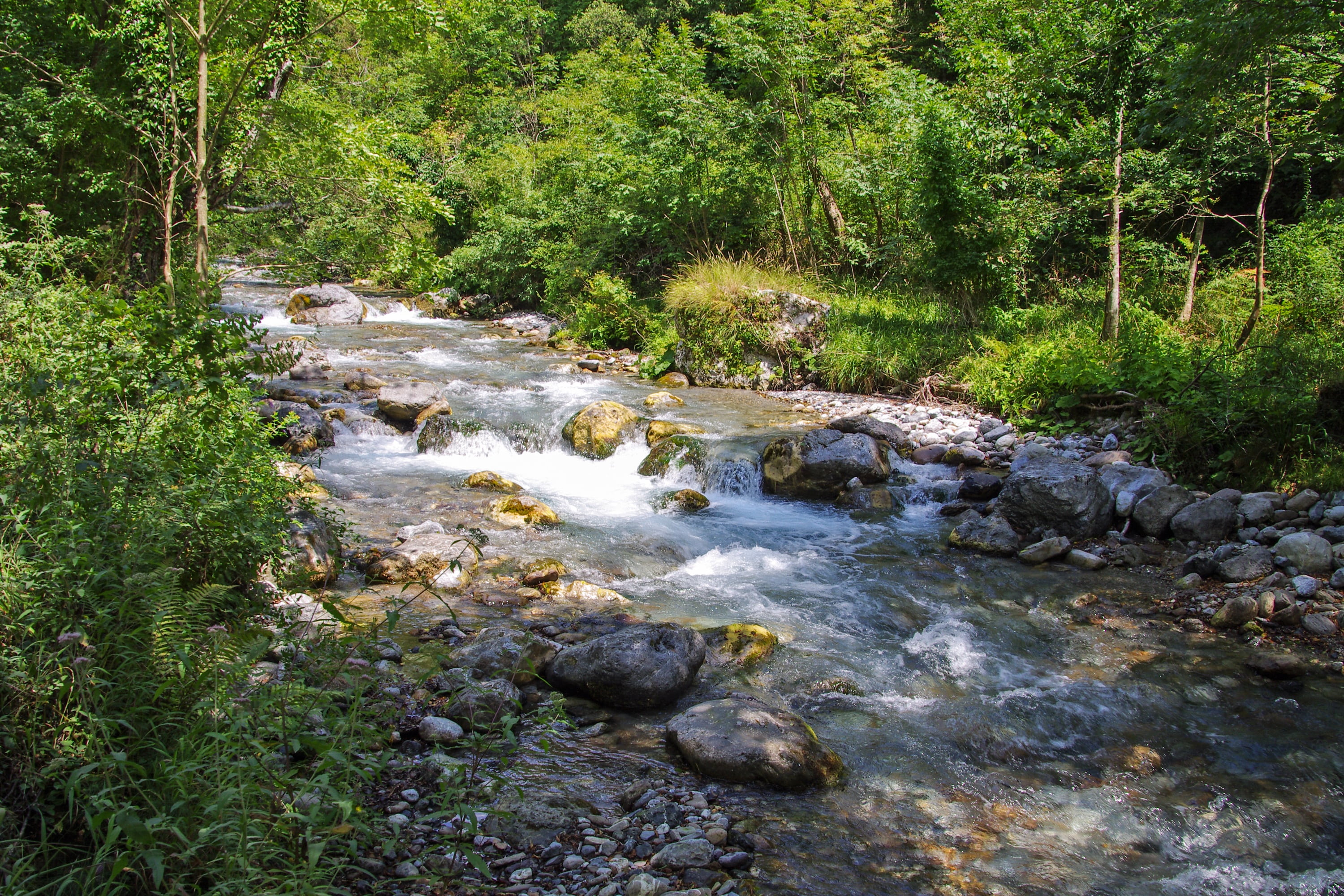 outdoors, plant, into the woods, stream - flowing water, river, flowing, green color, argentine stream, rock, growth, no people, nature, green, calabria, HD Wallpaper
