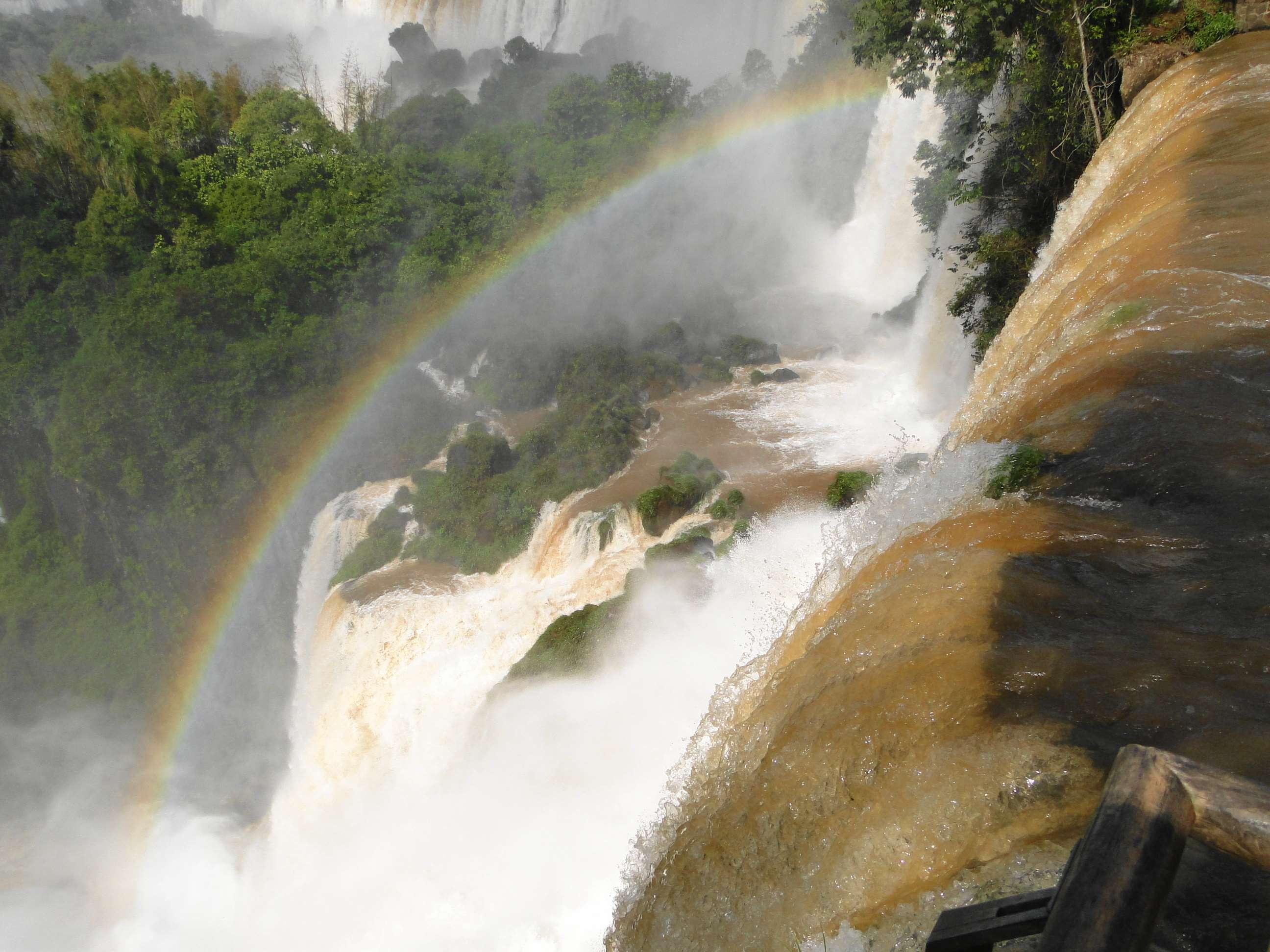motion, river, power, tree, jungle, waterfall, water drops, travel destinations, rainbow, rock, water, power in nature, sea, beauty in nature, 2K, plant, HD Wallpaper