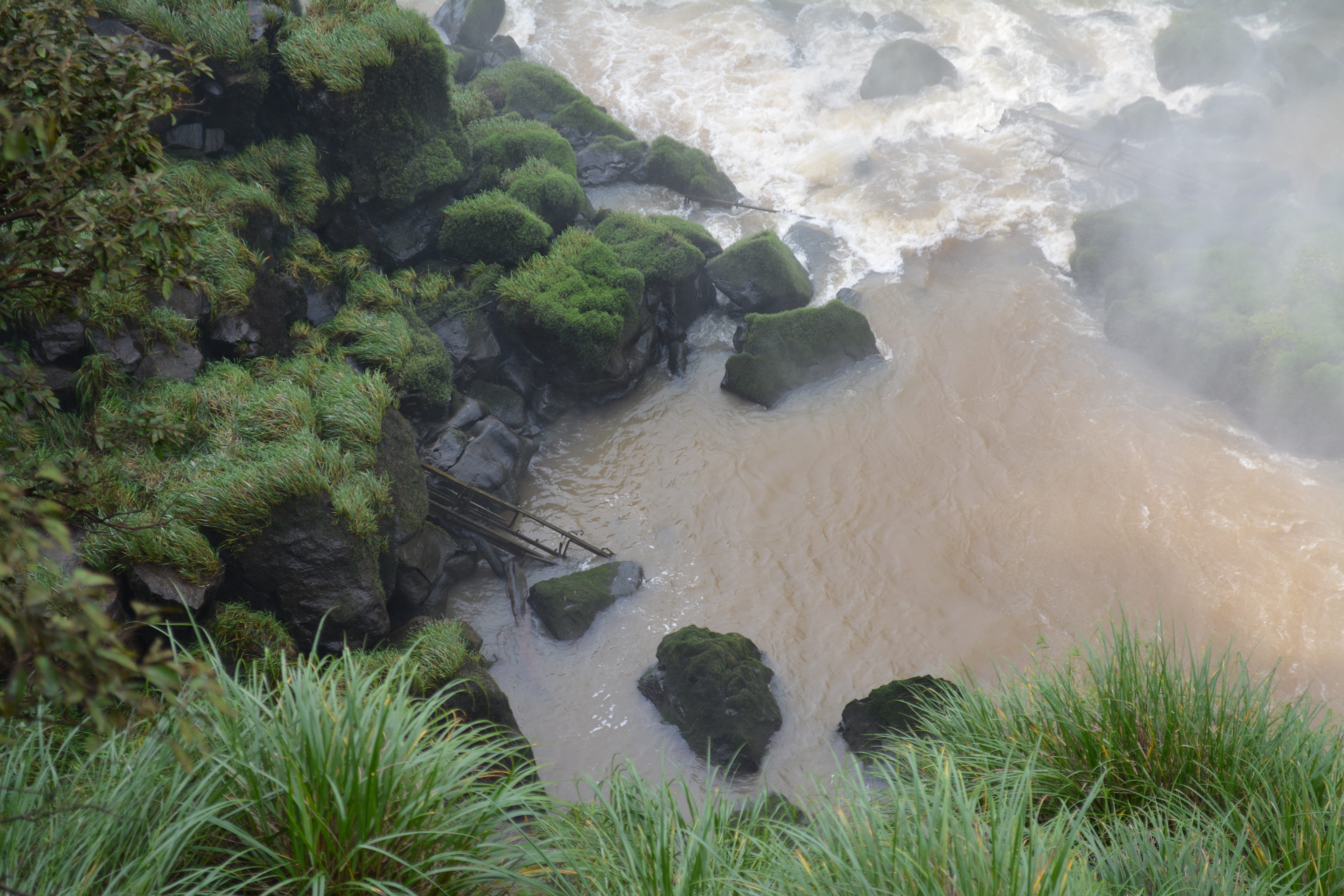 day, argentina, non-urban scene, high angle view, flowing water, land, growth, water, green color, 5K, motion, rock, nature, beauty in nature, iguazu river, HD Wallpaper